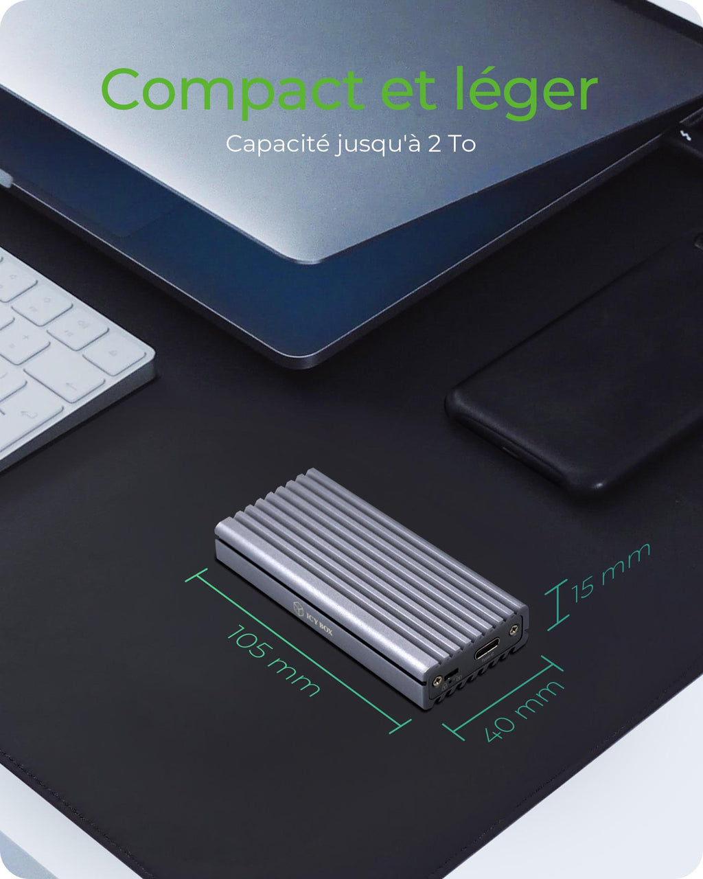 ICY BOX IB-1817M-C31 Enceinte ssd Gris M.2