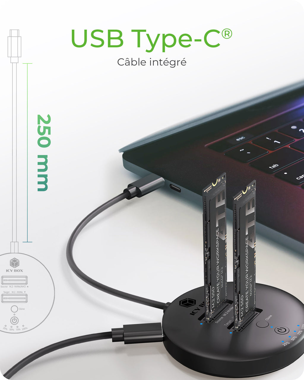 ICY BOX IB-1612MCL-C31 USB 3.2 Gen 2 (3.1 Gen 1) Type-C Noir