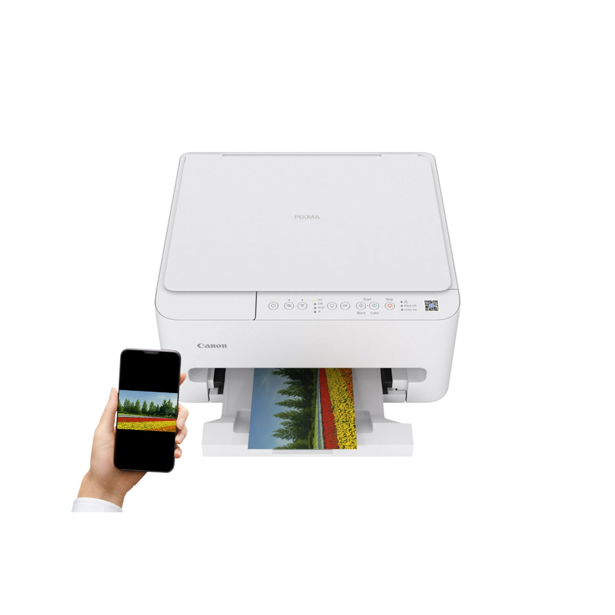 Canon Imprimante multifonctions Pixma TS4150i