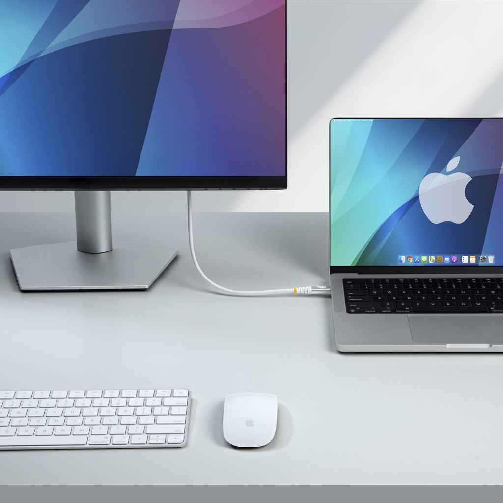 StarTech.com Câble USB4 1m 80 Gbps USB-C Certifié USB-IF 240W PD 8K 120Hz DP2.1 Blanc