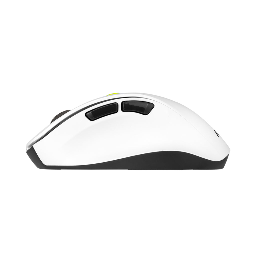 ASUS MD105 MOUSE/VT-GN souris Universel Droitier RF sans fil + Bluetooth 2400 DPI