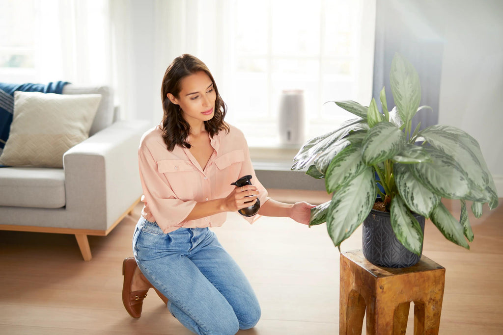 Philips 2000 series Humidificateur d'air série 2000 HU2716/10