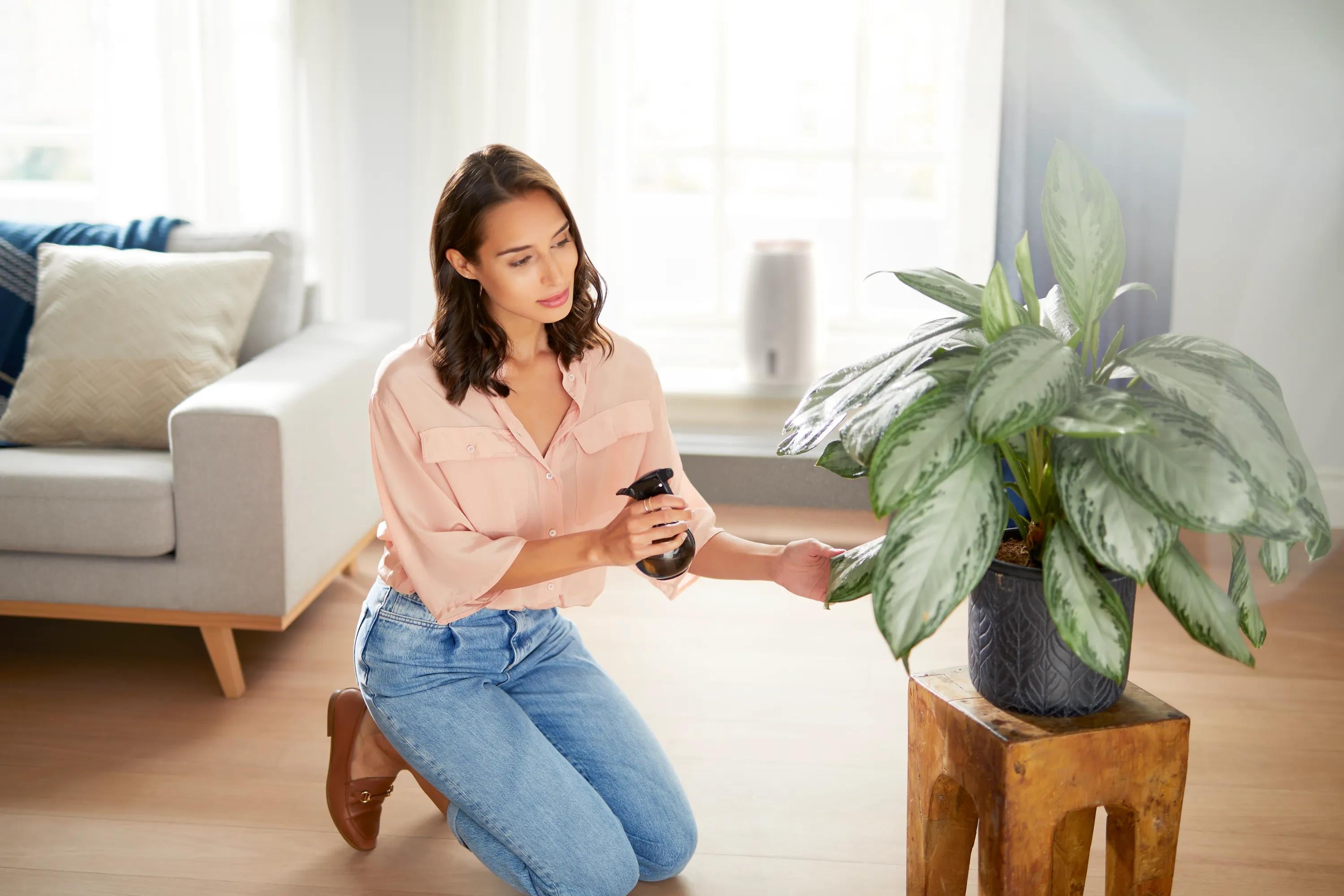 Philips 2000 series Humidificateur d'air série 2000 HU2716/10