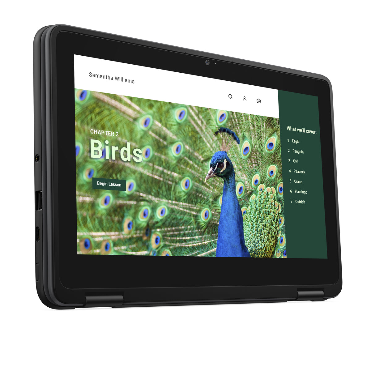 DELL Chromebook 3120 2-in-1, Intel N100, 11.6" Écran Tactile HD, 4 Go LPDDR5, 64 Go eMMC, Wi-Fi 6, ChromeOS, Noir