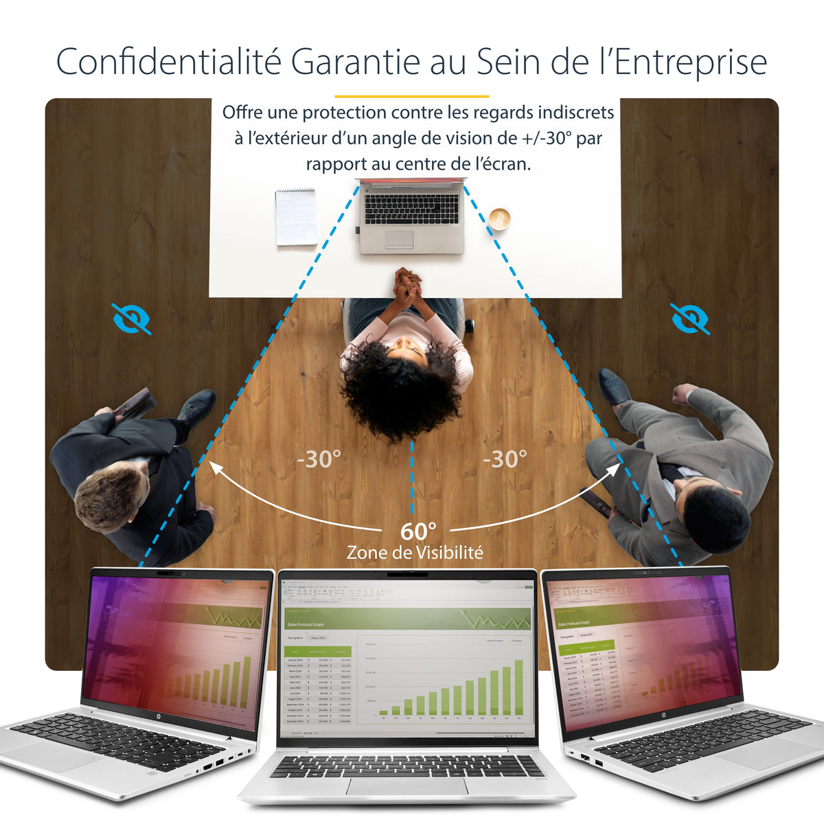 StarTech.com 14G-PRIVACY-SCREEN Filtre de Confidentialité et Anti-Reflets pour Ordinateur Portable 14 pouces (35,6 cm)
