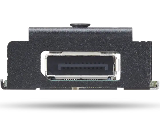 Lenovo 4XH1K25075 carte et adaptateur d'interfaces Interne DisplayPort