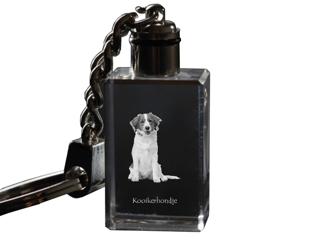 Kooikerhondje - Crystal key ring with dog photo, illuminated key ring, unique gift by Art-Dog brand