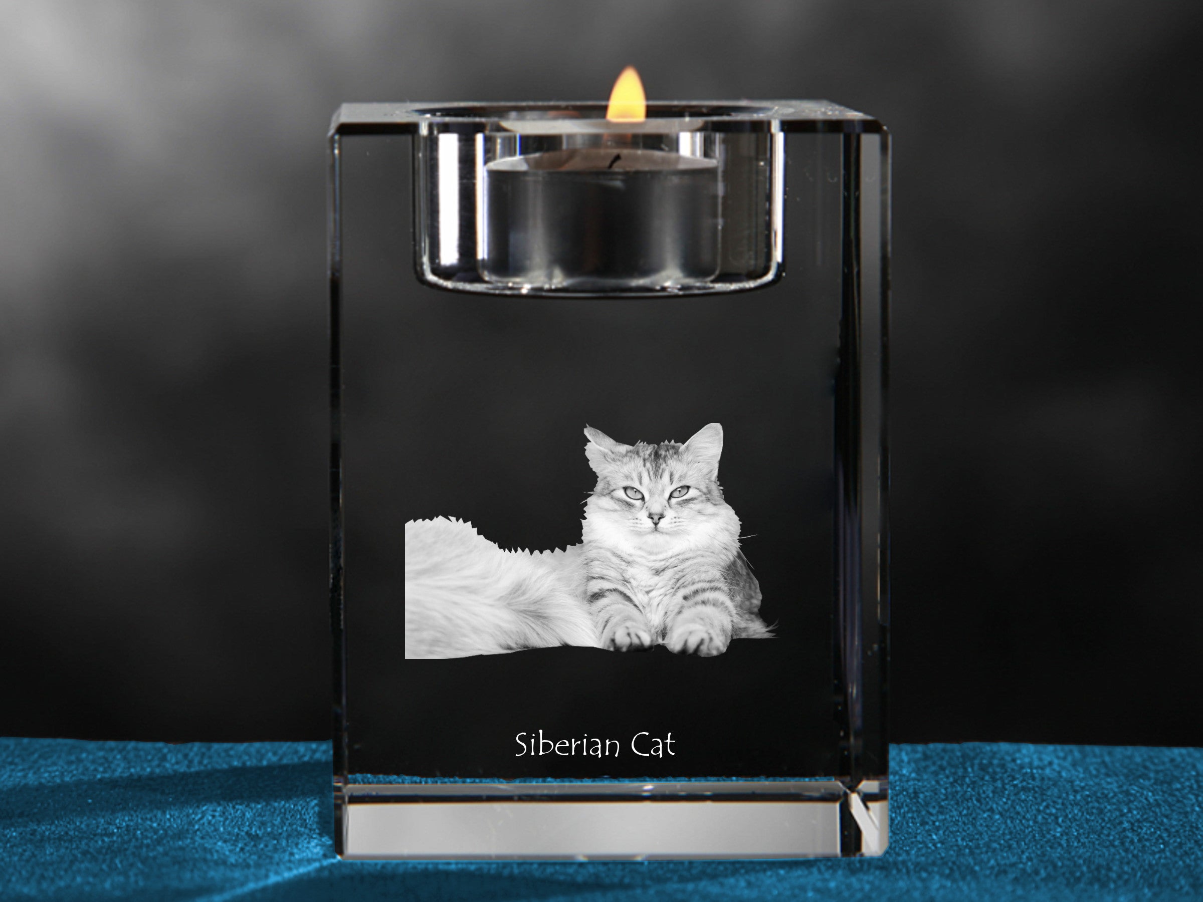 Siberian - Candle holder with cat photo, crystal tealight holder, personalised gift by Art-Dog brand