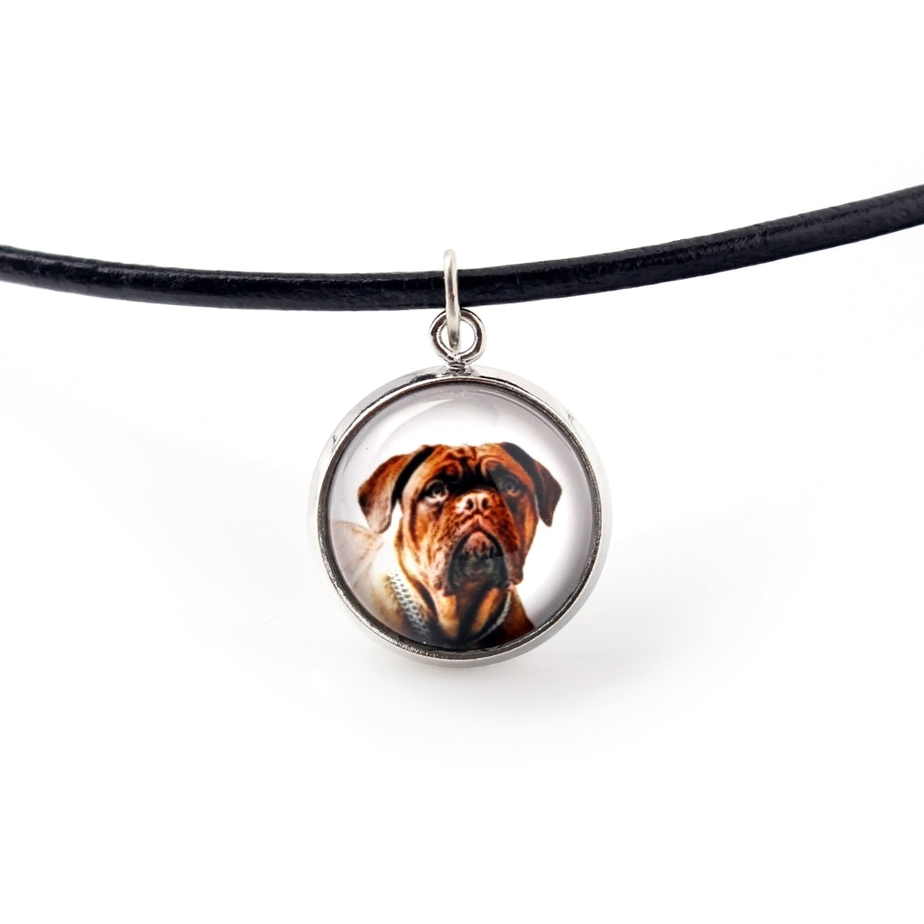 Dogue de Bordeaux, French Mastiff, Bordeauxdog - jewelry with your photo box, set of necklace and earrings, personalized products from the Art-Dog brand