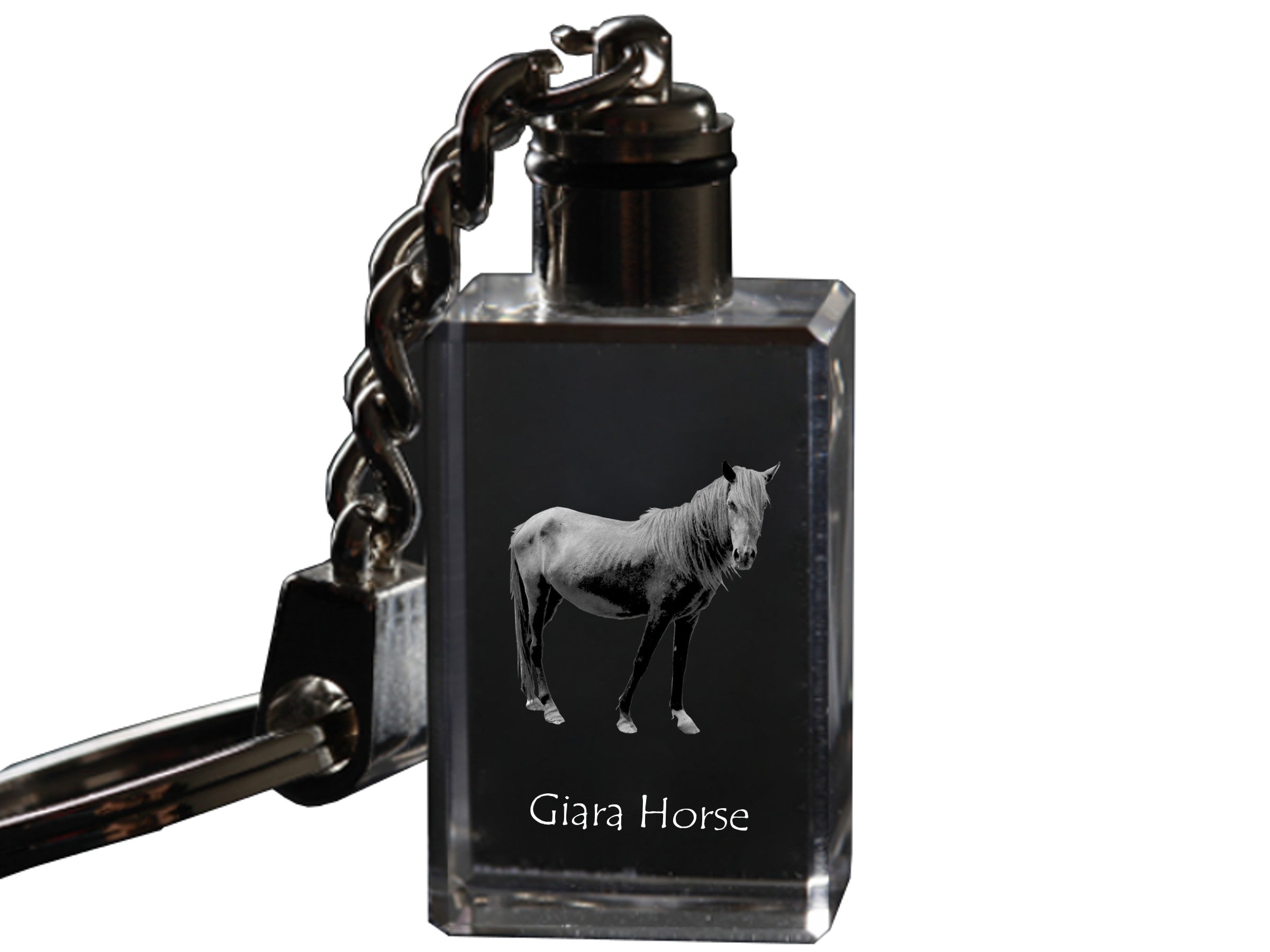 Giara Horse - Crystal pendant with photo of a horse, illuminated pendant, unique gift by Art-Dog brand
