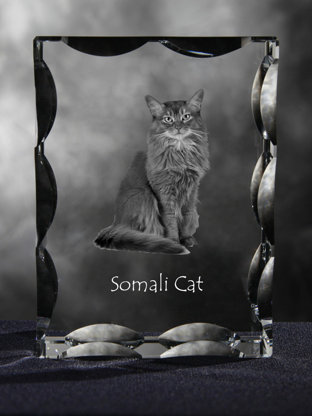Somali - crystal with a cat picture, glass statuette with a picture, unique frame with a picture from Art-Dog brand