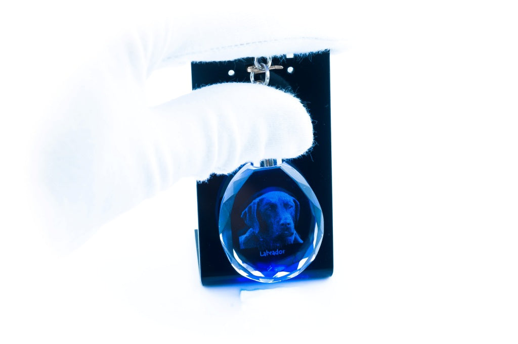 Labrador Retriever - pendant with a photo of a dog, crystal key ring in a gift box, a unique gift by Art-Dog