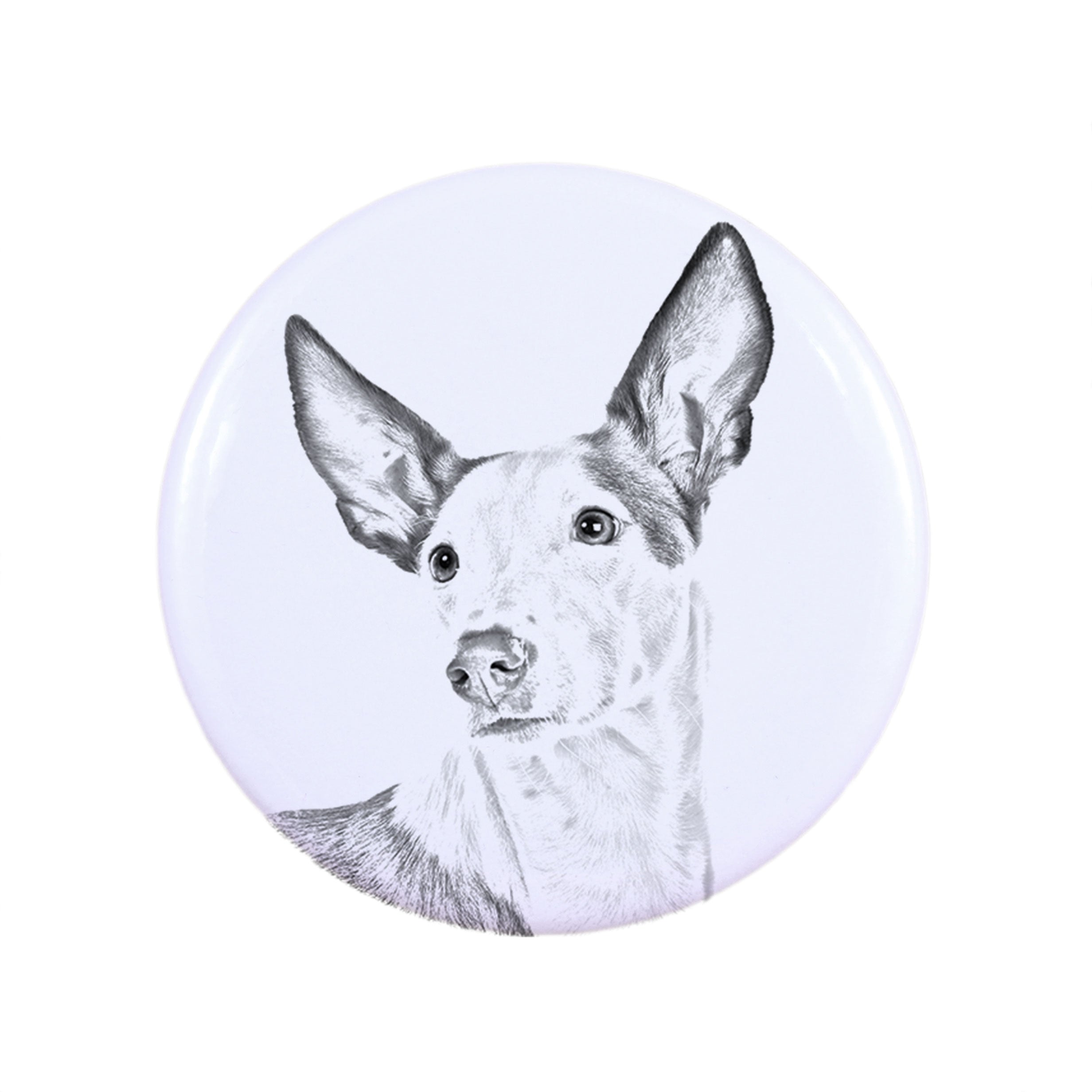 Ibizan Hound, Ibizan Podenco, Ibizan Warren Hound - magnet with a dog's pupil, exceptionally light, strong magnet, handmade product by the Art-Dog brand