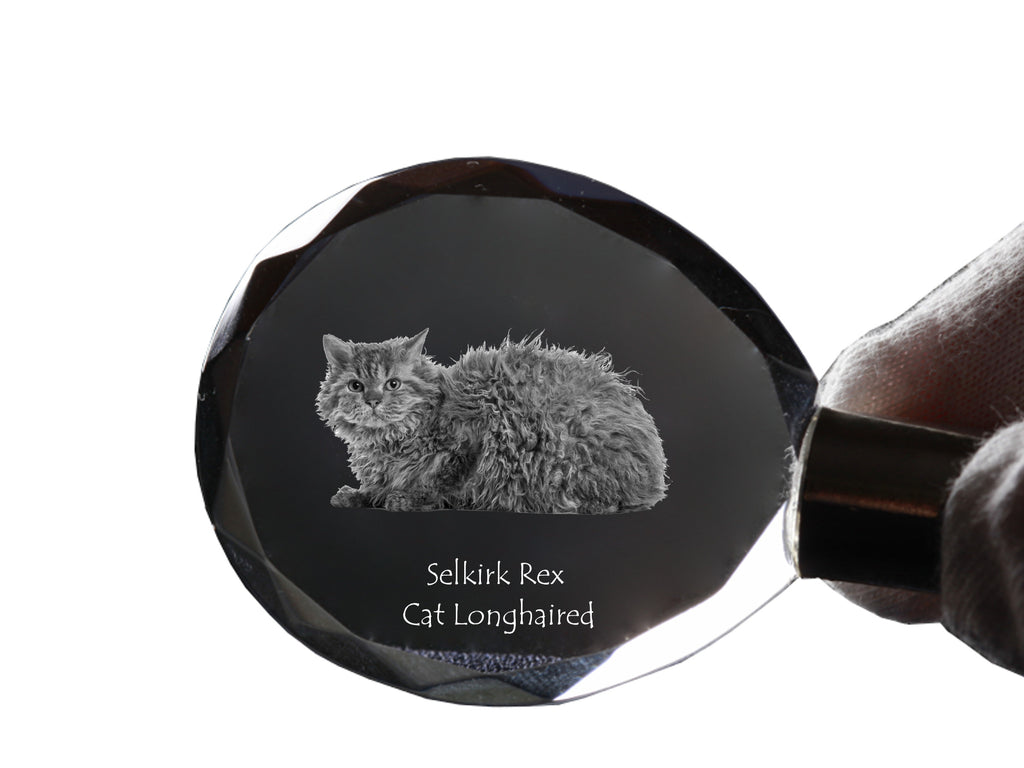 Selkirk Rex Longhaired - Fob with cat photo, crystal key ring in gift box, unique gift by Art-Dog brand
