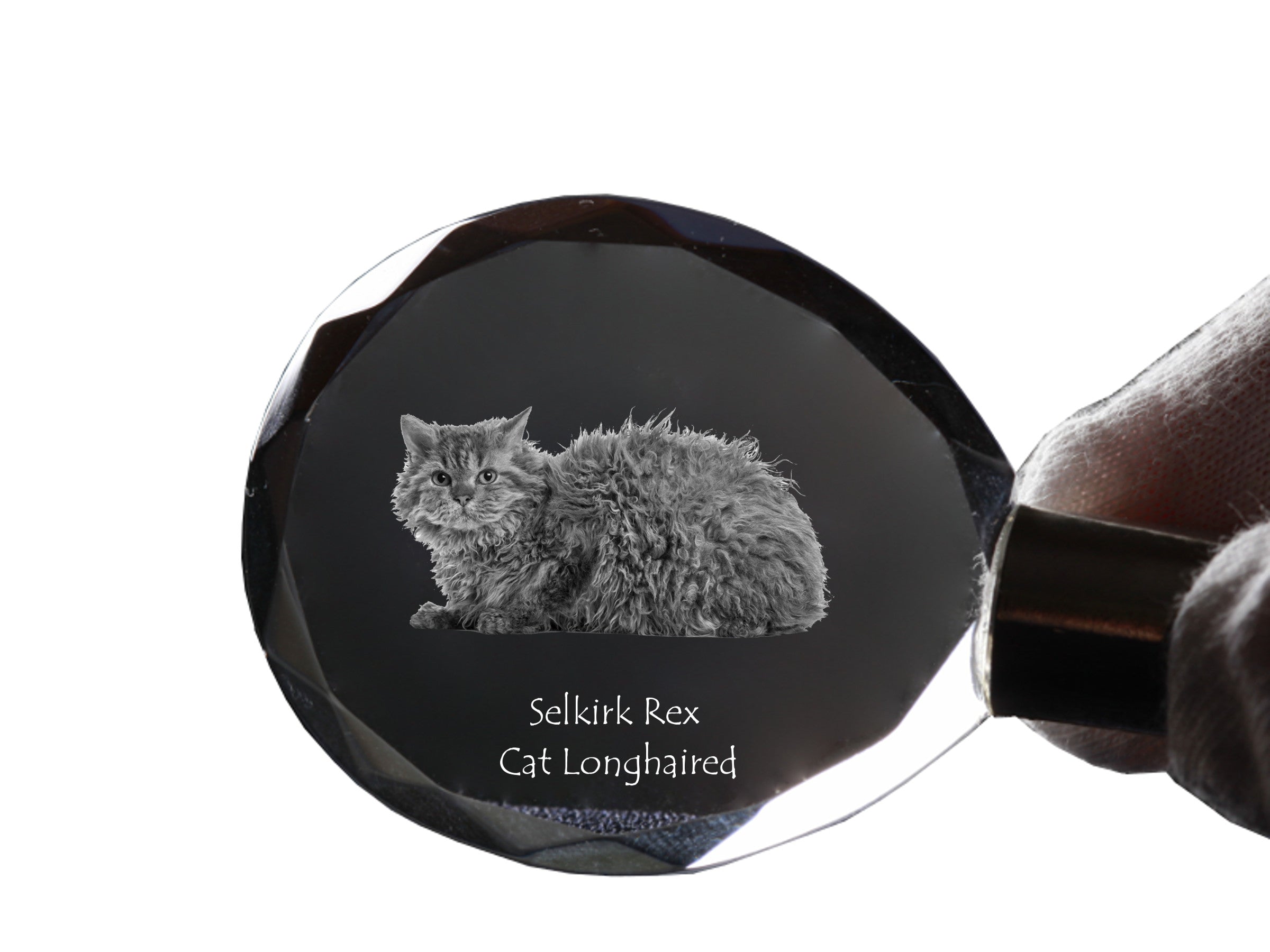 Selkirk Rex Longhaired - Fob with cat photo, crystal key ring in gift box, unique gift by Art-Dog brand