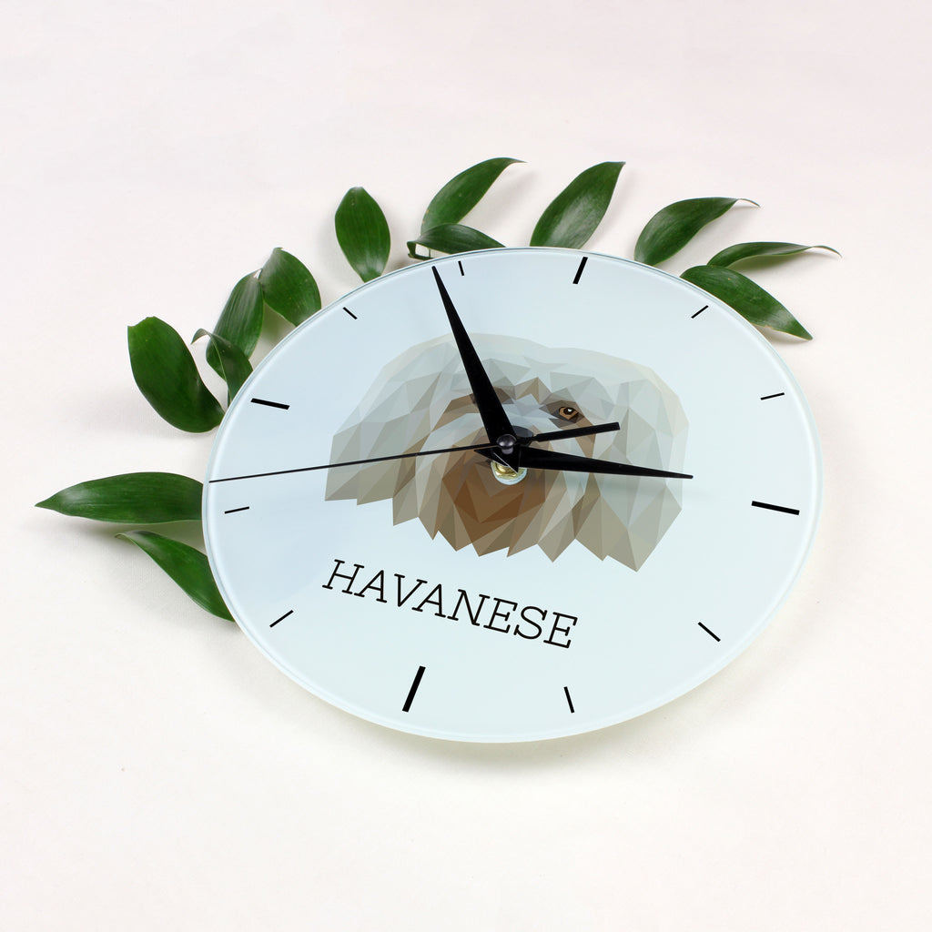 Havanese, Havanese Cuban Bichon, Bichón Havanés - geometric wall clock with a picture and the brand name Art-Dog