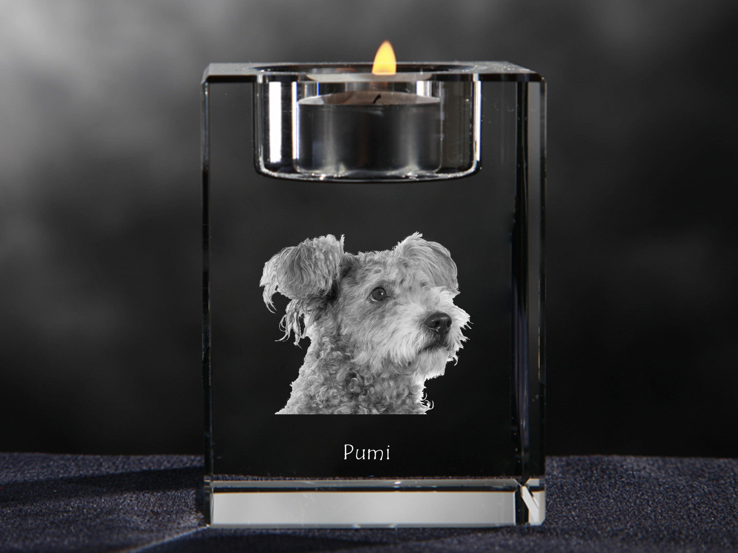 Pumi, Hungarian Pumi, Hungarian herding terrier - Candle holder with dog photo, crystal tealight holder, personalised gift by Art-Dog brand