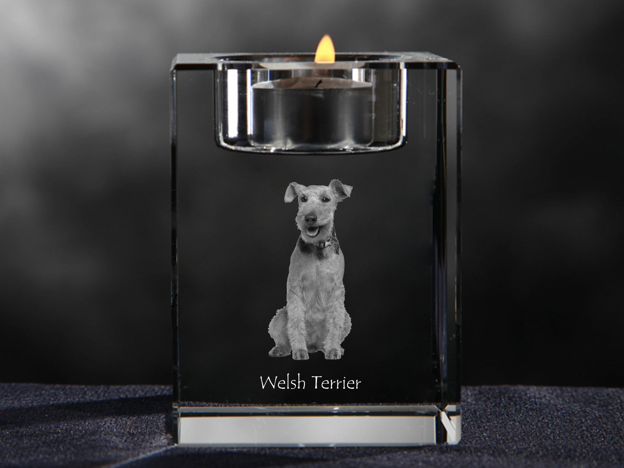 Welsh Terrier, Welshie, Daeargi Cymreig - Candle holder with dog photo, crystal tealight holder, personalised gift by Art-Dog brand