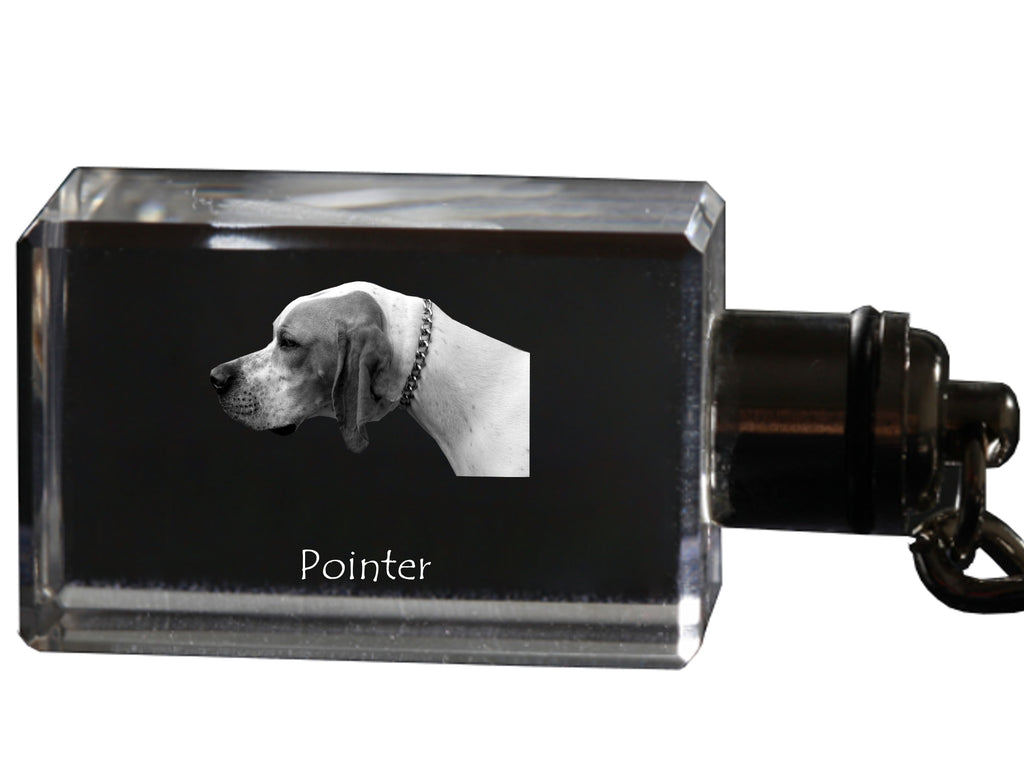 English Pointer I - Crystal key ring with dog photo, illuminated key ring, unique gift by Art-Dog brand