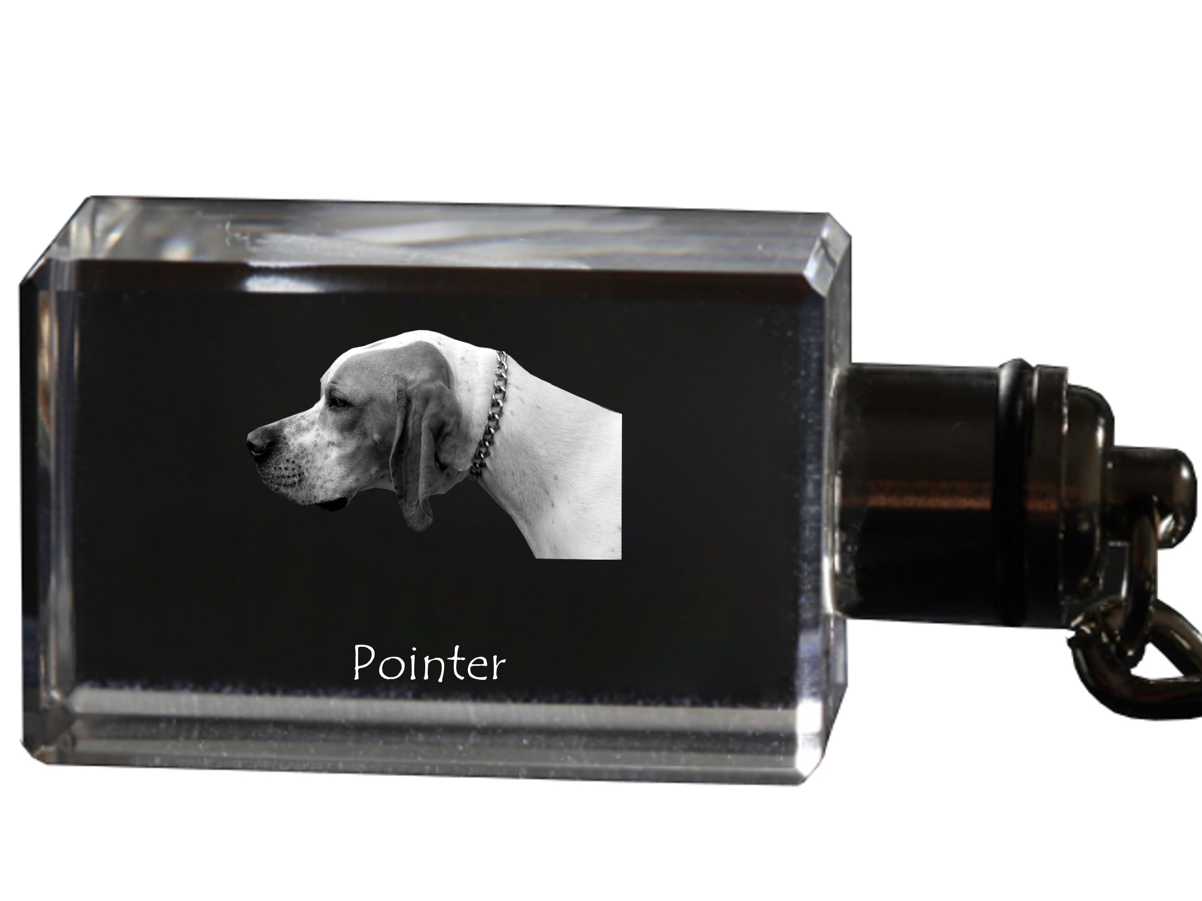 English Pointer I - Crystal key ring with dog photo, illuminated key ring, unique gift by Art-Dog brand