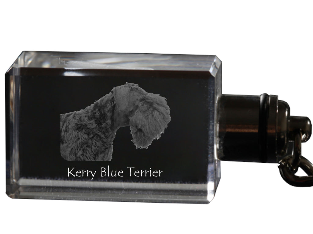 Kerry Blue Terrier, Irish Blue Terrier - Crystal key ring with dog photo, illuminated key ring, unique gift by Art-Dog brand