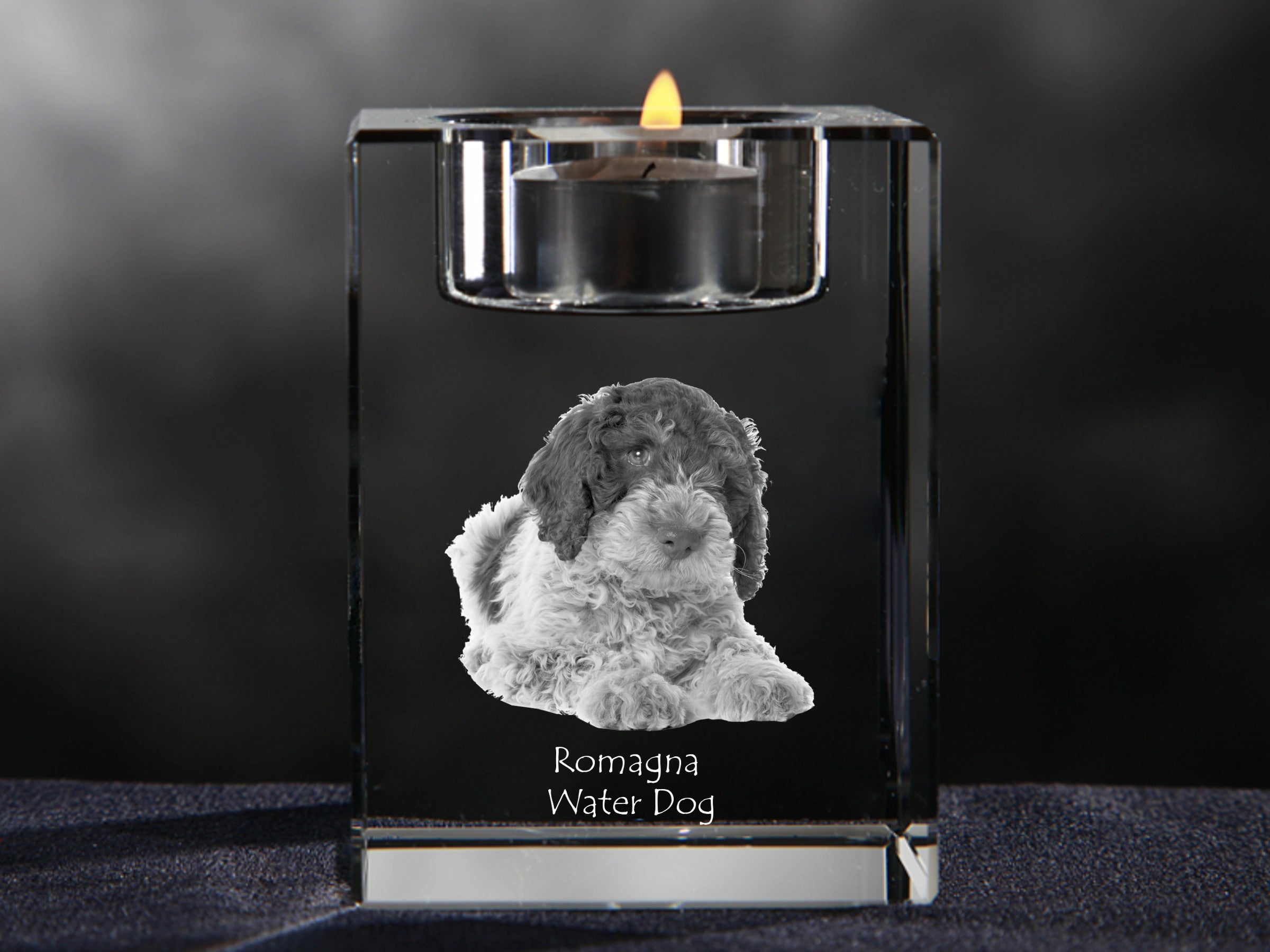 Romagna Water Dog - Candle holder with dog photo, crystal tealight holder, personalised gift by Art-Dog brand