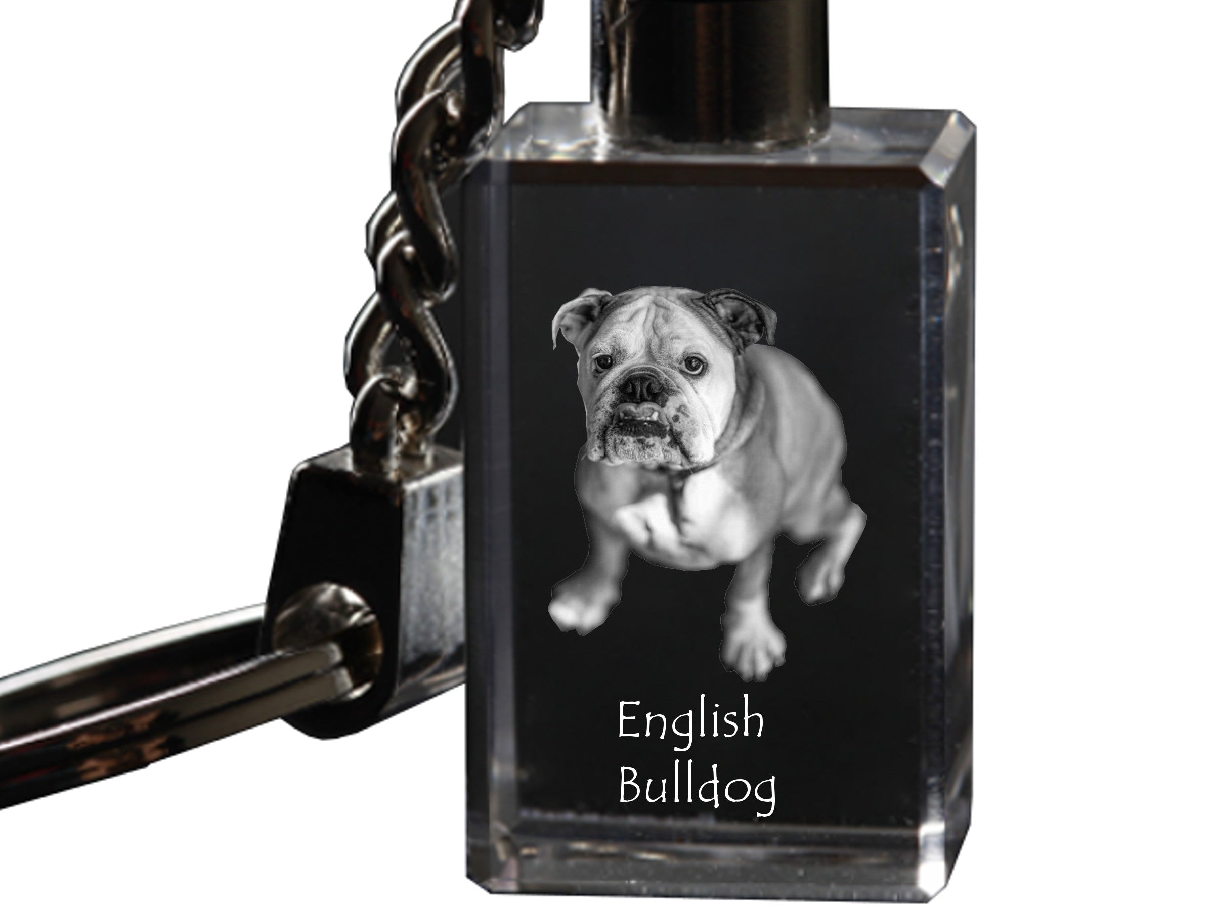 Bulldog, English Bulldog, British Bulldog - Crystal key ring with dog photo, illuminated key ring, unique gift by Art-Dog brand
