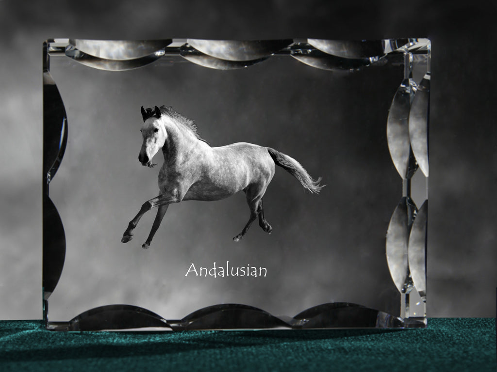 Andalusian - kryształ ze zdjęciem konia, szklana statuetka ze zdjęciem, wyjątkowa ramka ze zdjęciem marki Art-Dog
