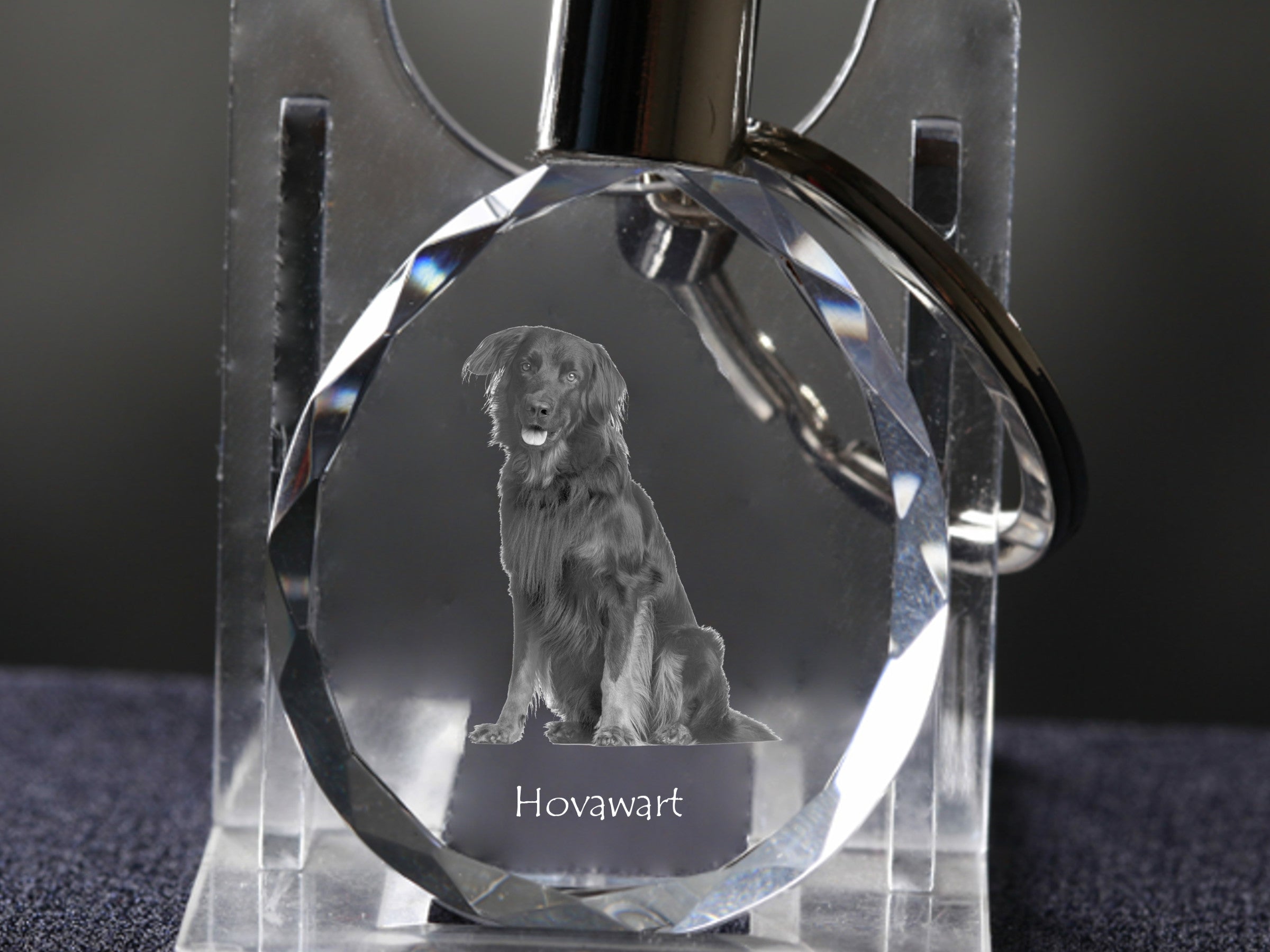 Hovawart, Hovie - pendant with a photo of a dog, crystal key ring in a gift box, a unique gift by Art-Dog