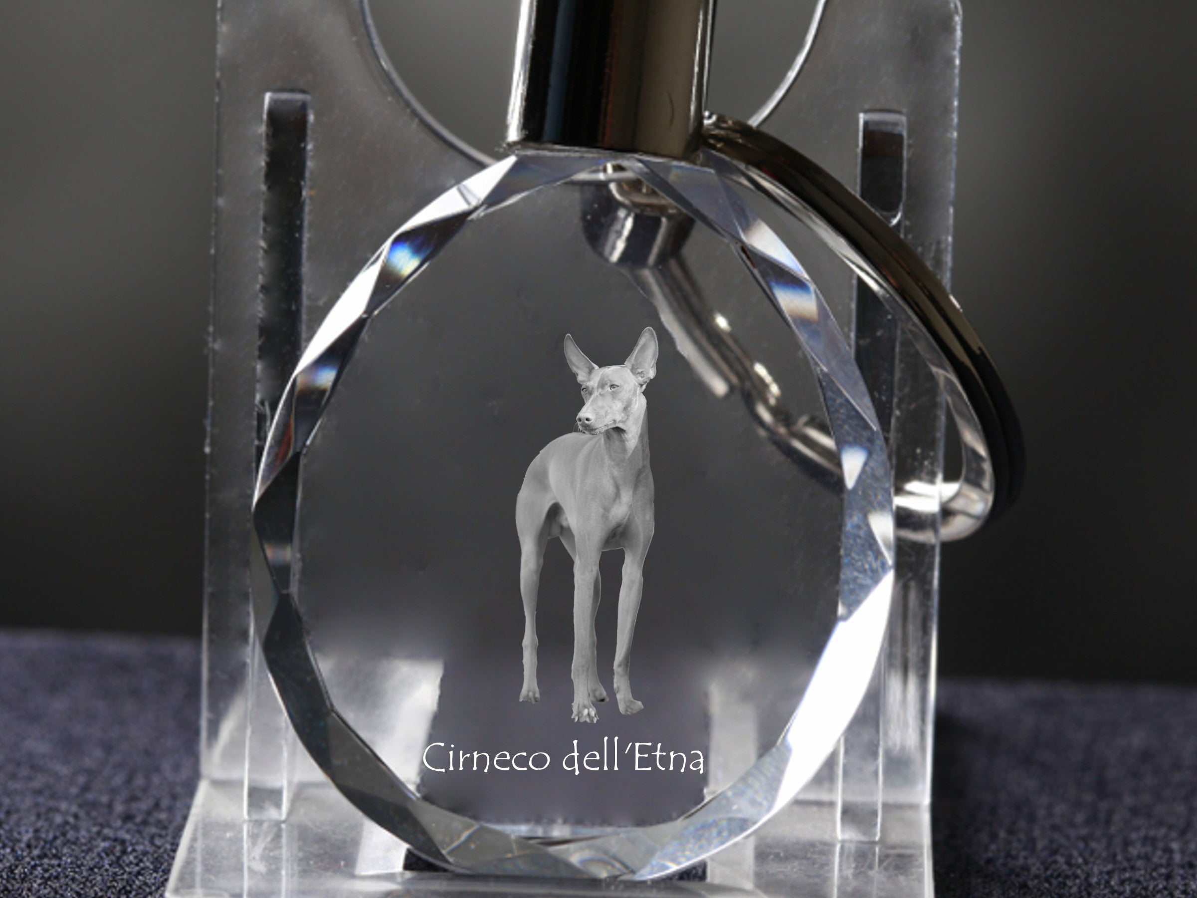 Cirneco dell'Etna - pendant with a photo of a dog, crystal key ring in a gift box, a unique gift by Art-Dog