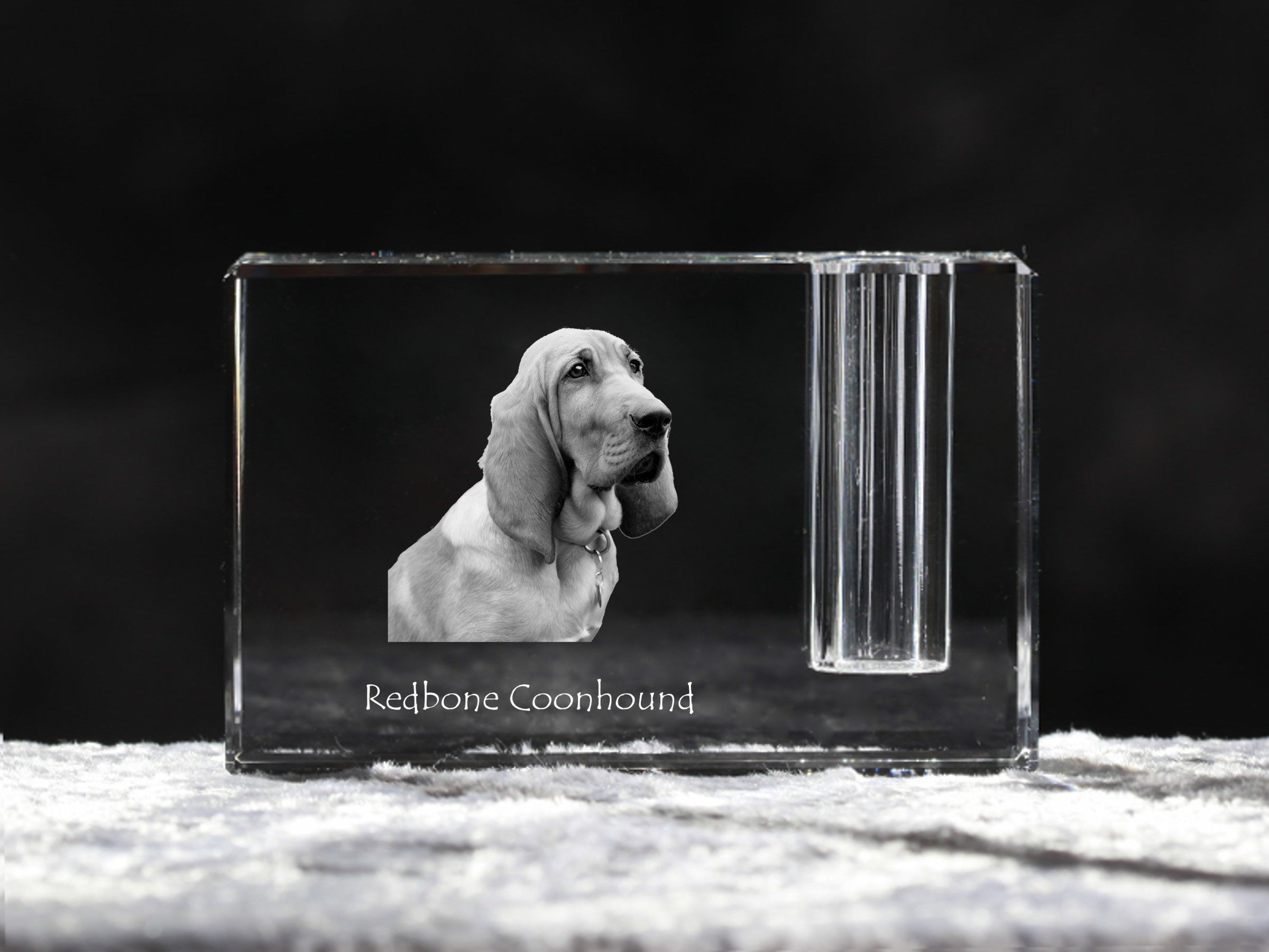 Redbone Coonhound - Pen stand, crystal organiser with dog photo, unique desk decoration by Art-Dog brand