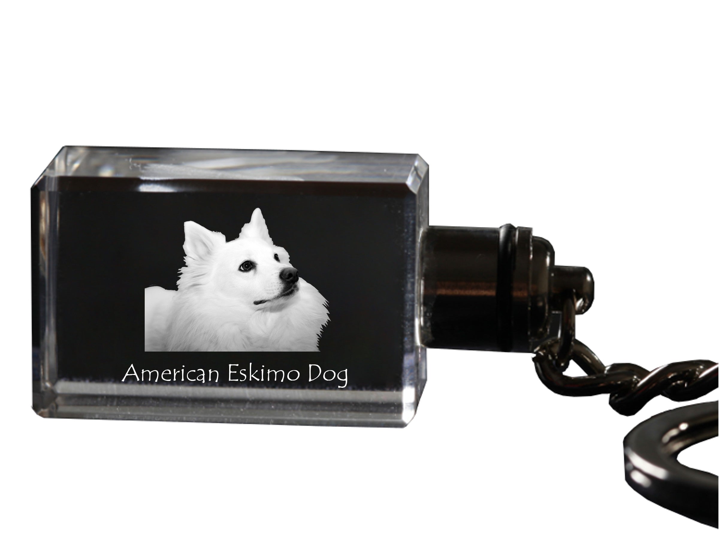 American Eskimo Dog, American Spitz - Crystal key ring with dog photo, illuminated key ring, unique gift by Art-Dog brand