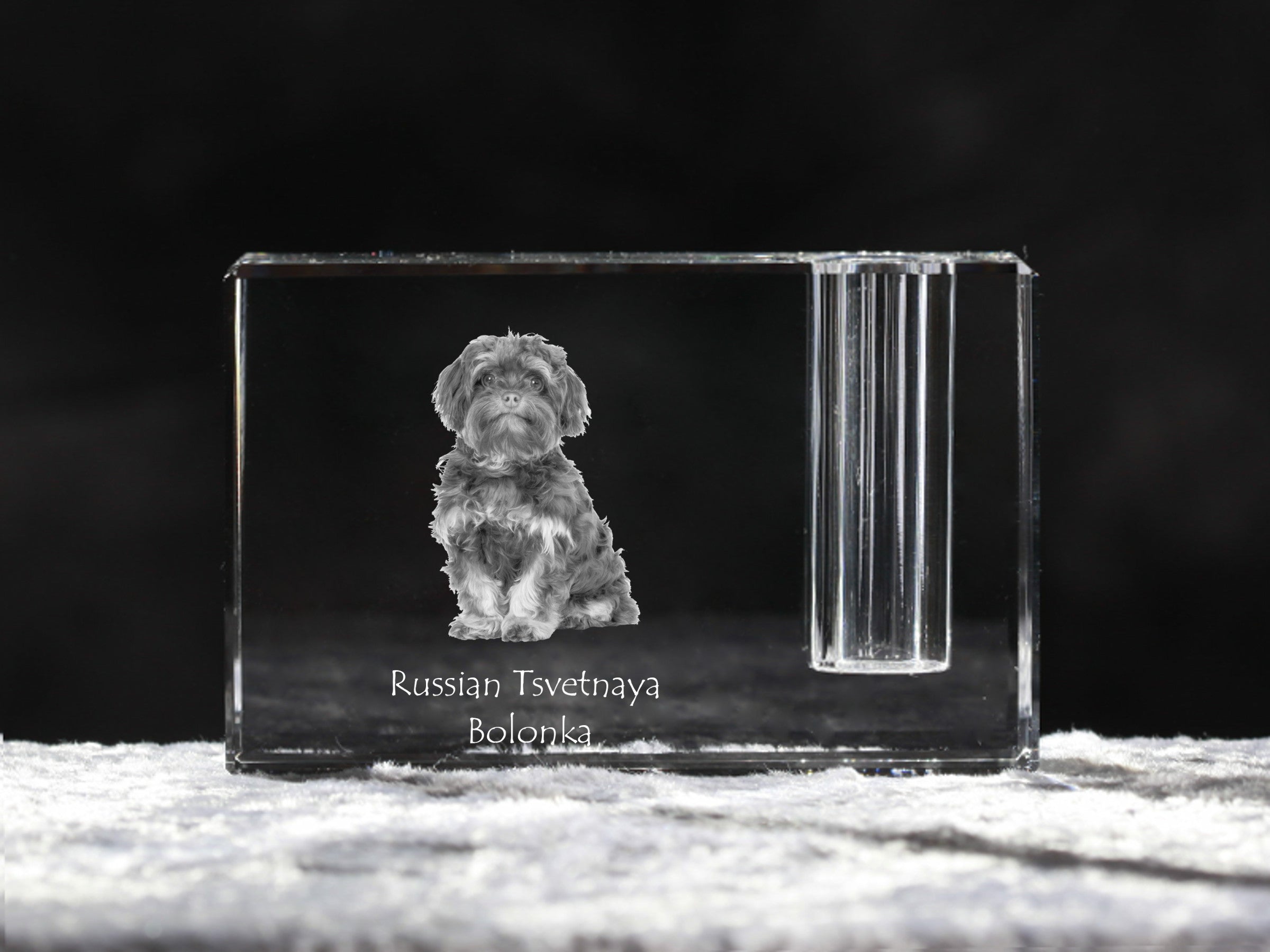 Bolonka, Russian Tsvetnaya Bolonka - Pen stand, crystal organiser with dog photo, unique desk decoration by Art-Dog brand