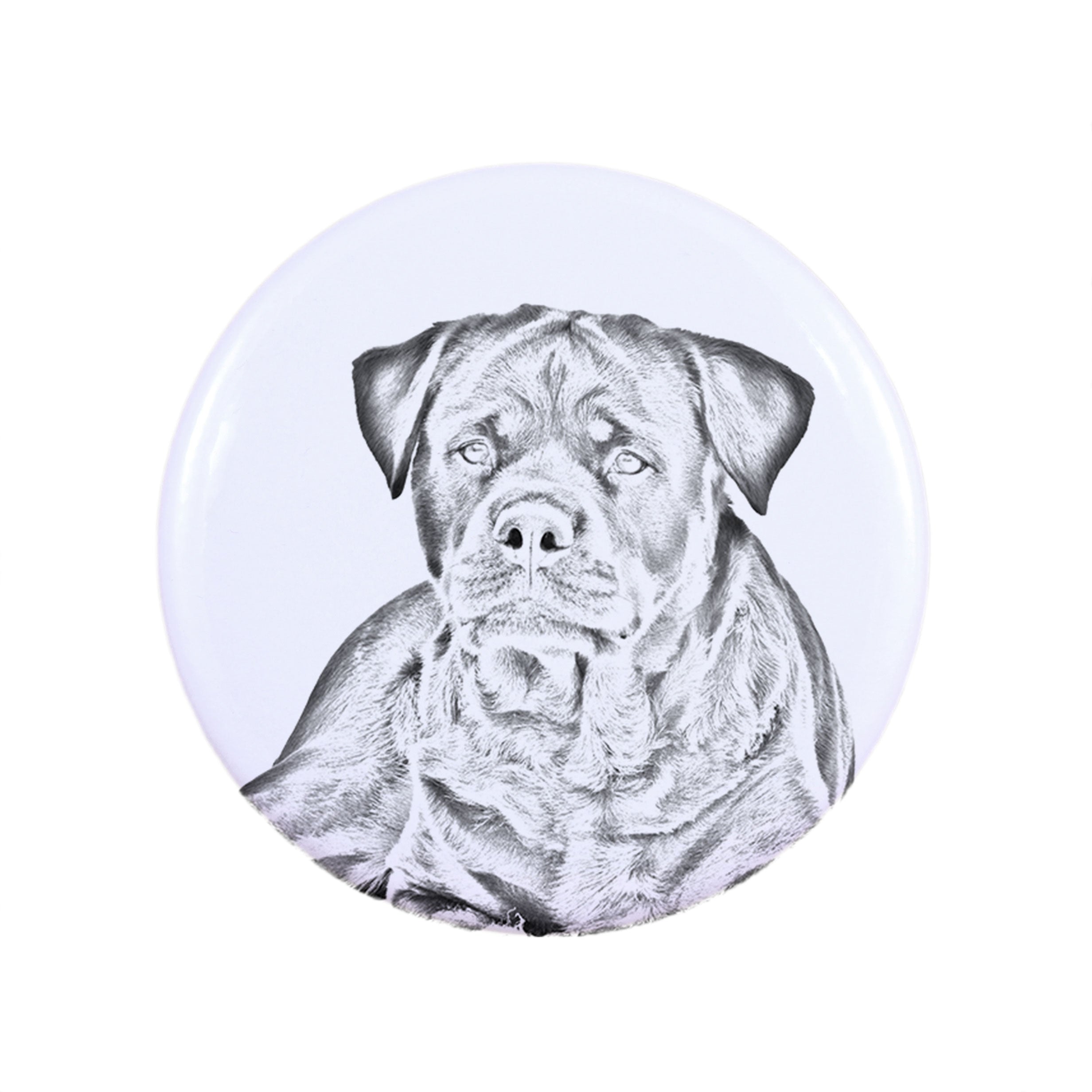 Rottweiler, Rott, Rottie - magnet with a dog's pupil, exceptionally light, strong magnet, handmade product by the Art-Dog brand