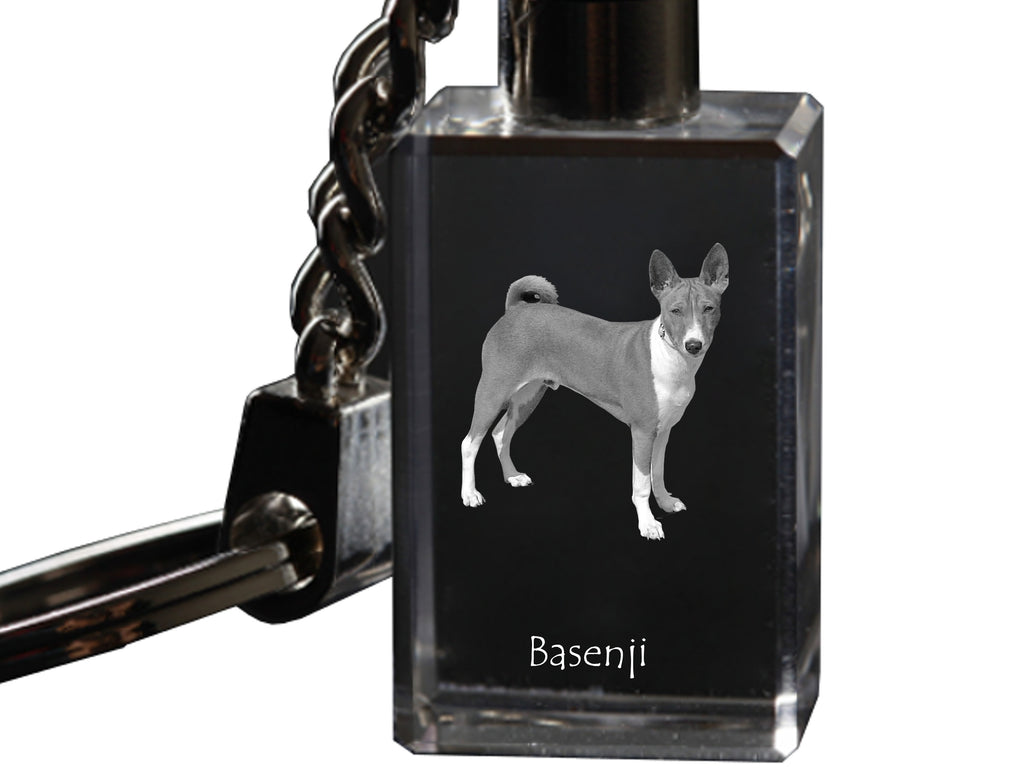 Basenji, African bush dog, Congo dog - Crystal key ring with dog photo, illuminated key ring, unique gift by Art-Dog brand