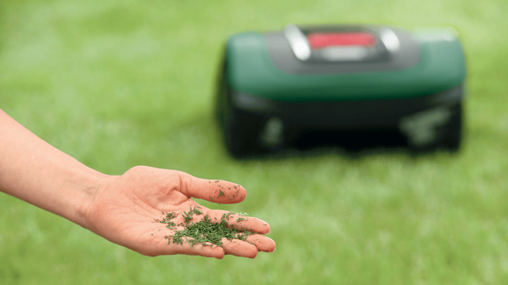 Bosch Bosch Indego XS 300 Tondeuse à gazon robot Batterie Noir, Vert