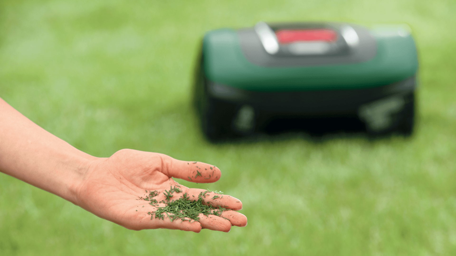 Bosch Bosch Indego S 500 Tondeuse à gazon robot Batterie Noir, Vert