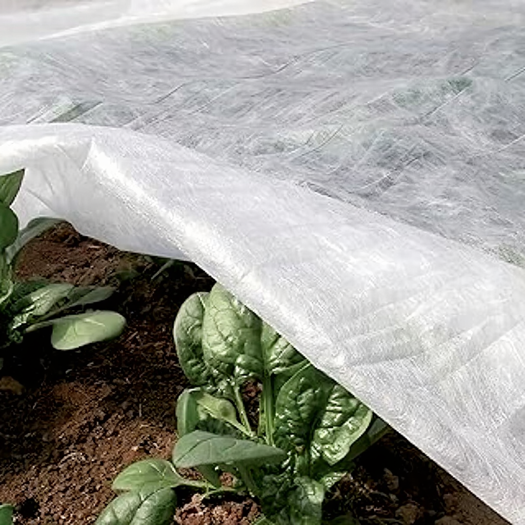 TENAX Voile d’hivernage pour Plantes 30 g/m² - 1,6 x 10 m