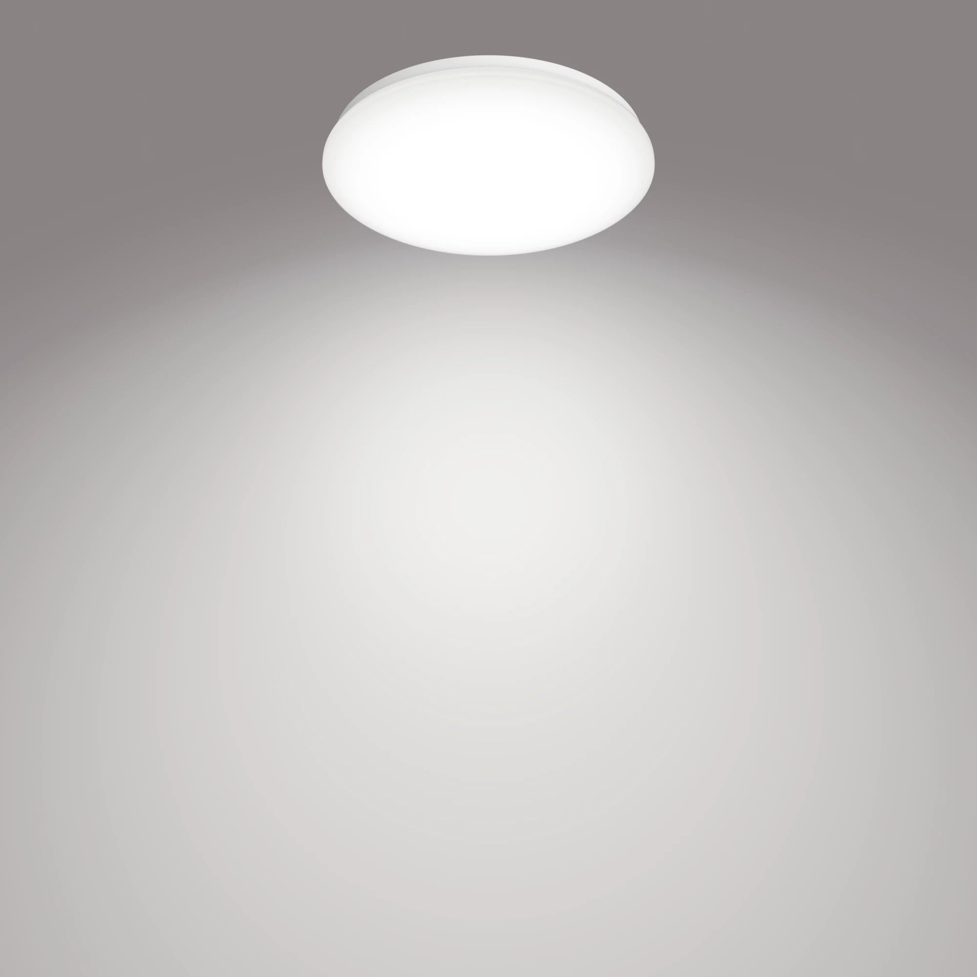 Philips Plafonnier Moire 17 W
