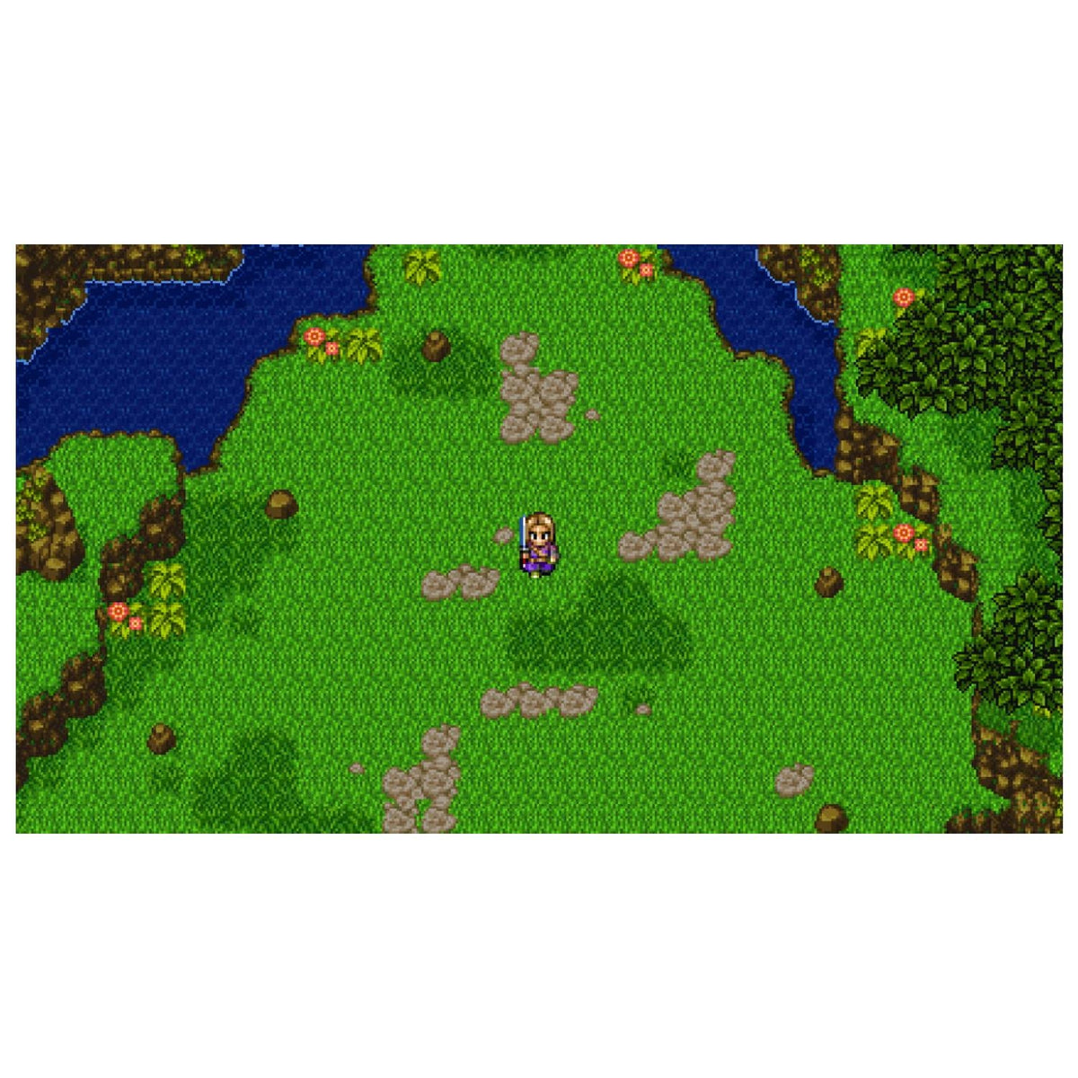 Dragon Quest XI S : Les Combattants de la destinée Edition Ultime Switch 2