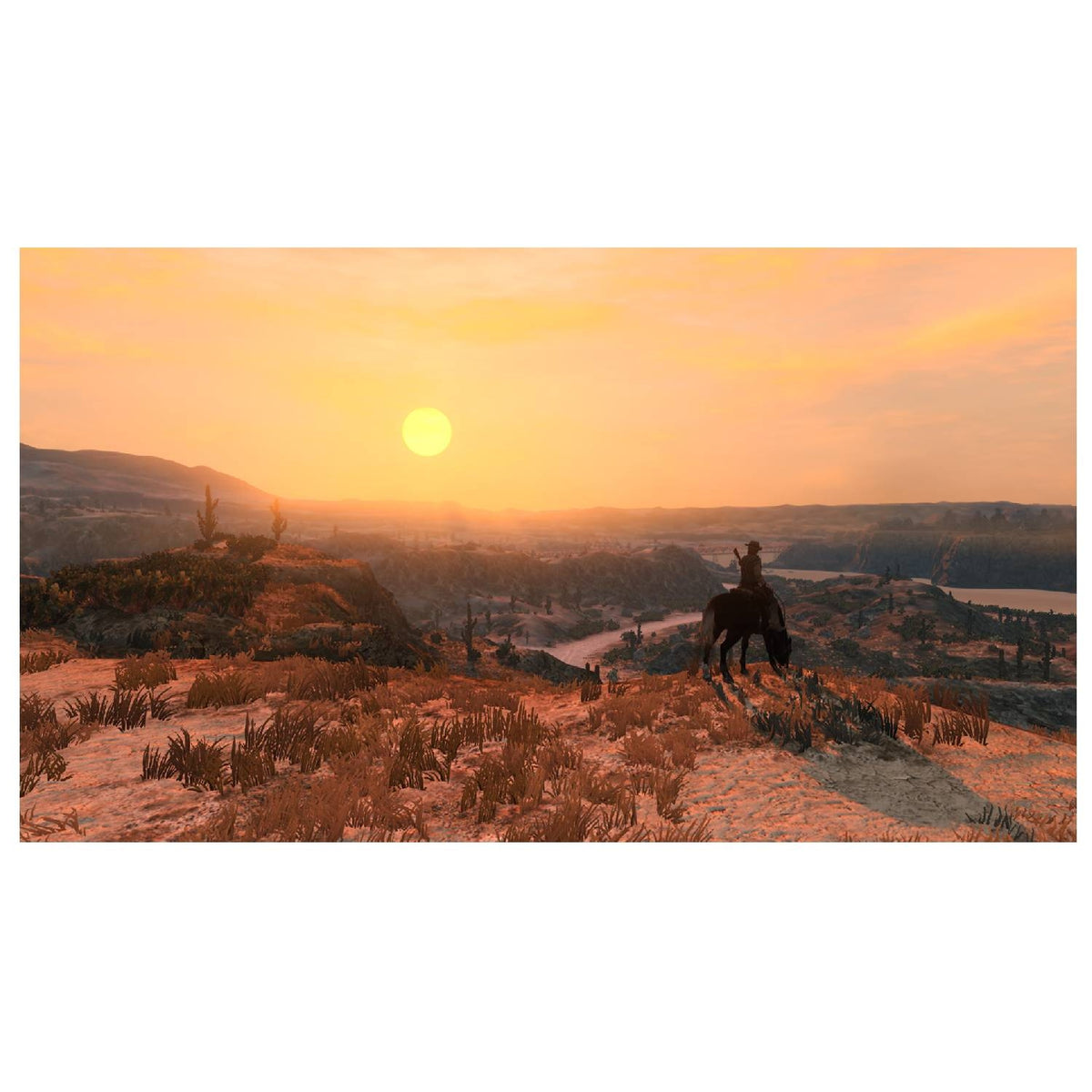 Rockstar Games Red Dead Redemption - Code in a box Switch 2