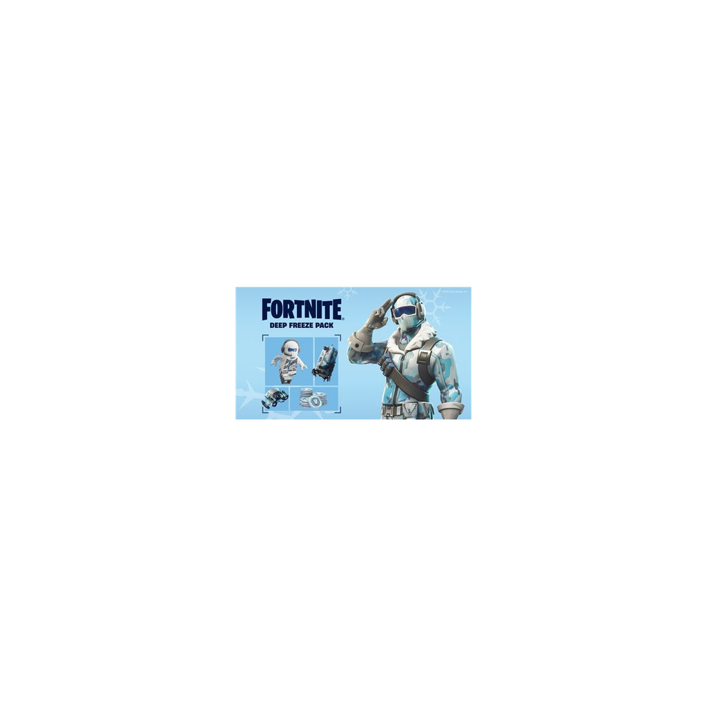 Nintendo Fortnite Pack Feu et Glace obscurs - Code in a box Switch