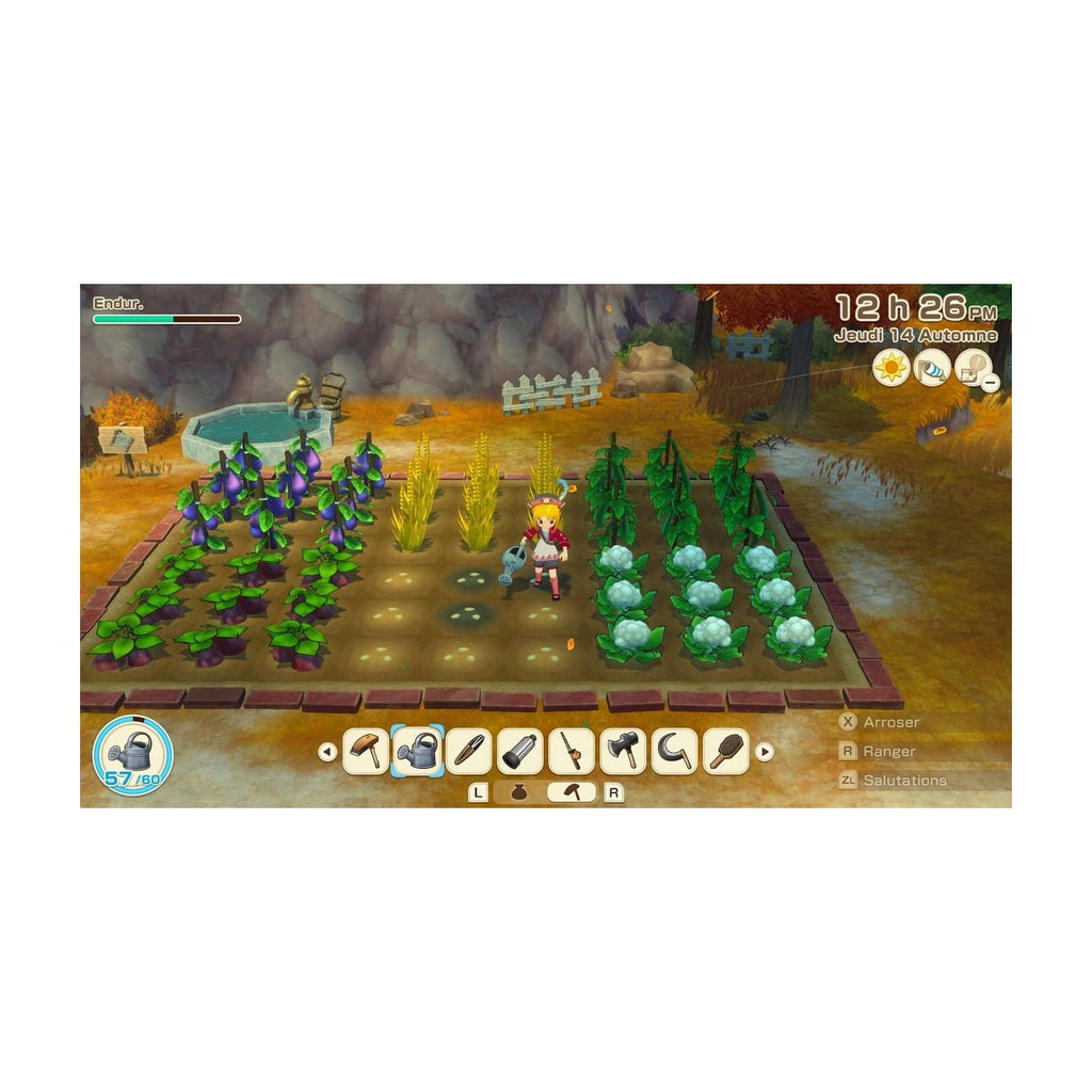 Marvelous Story of Seasons Grand Bazaar Switch