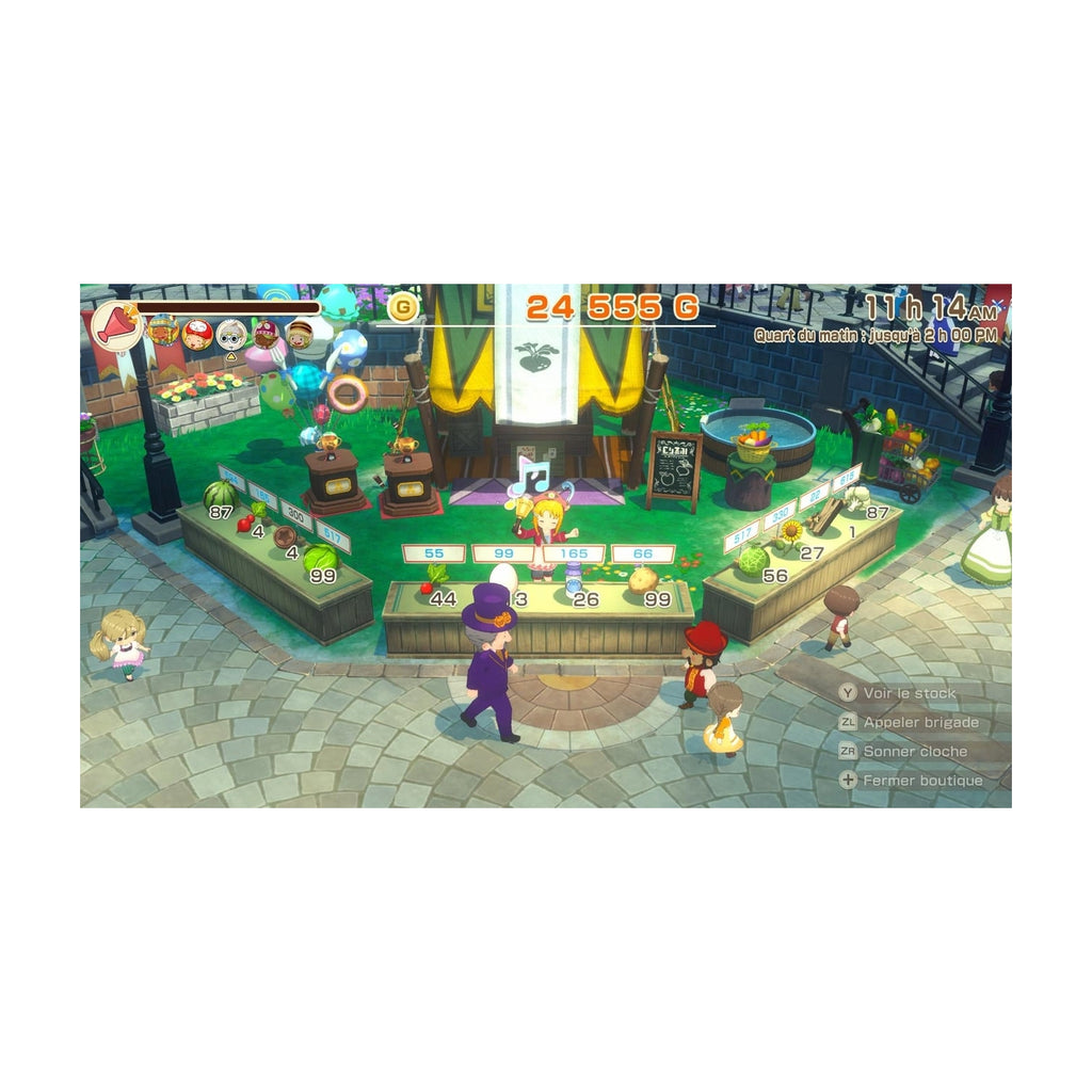 Marvelous Story of Seasons Grand Bazaar Switch