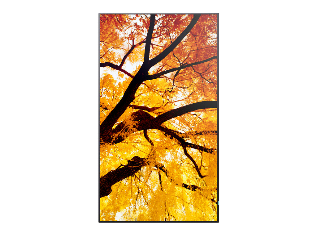 Sharp MultiSync PN-M752 189,2 cm (74.5") LED 4K Ultra HD 550 cd/m² Noir 24/7