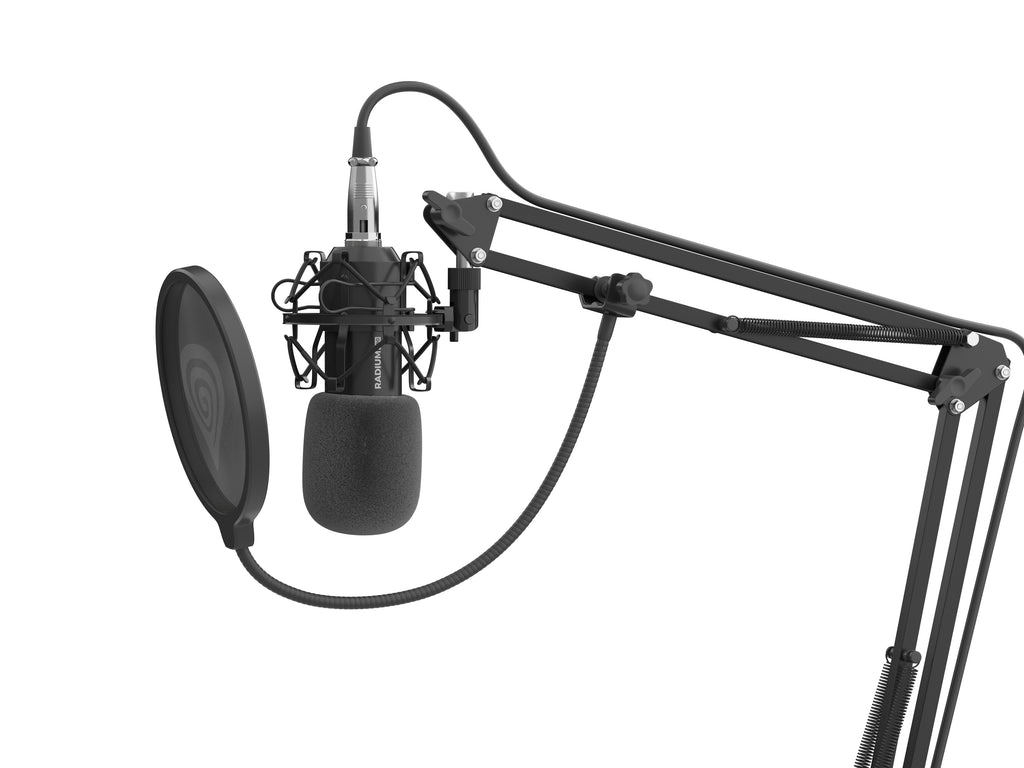 Microphone de Studio Radium 300 XLR, Noir
