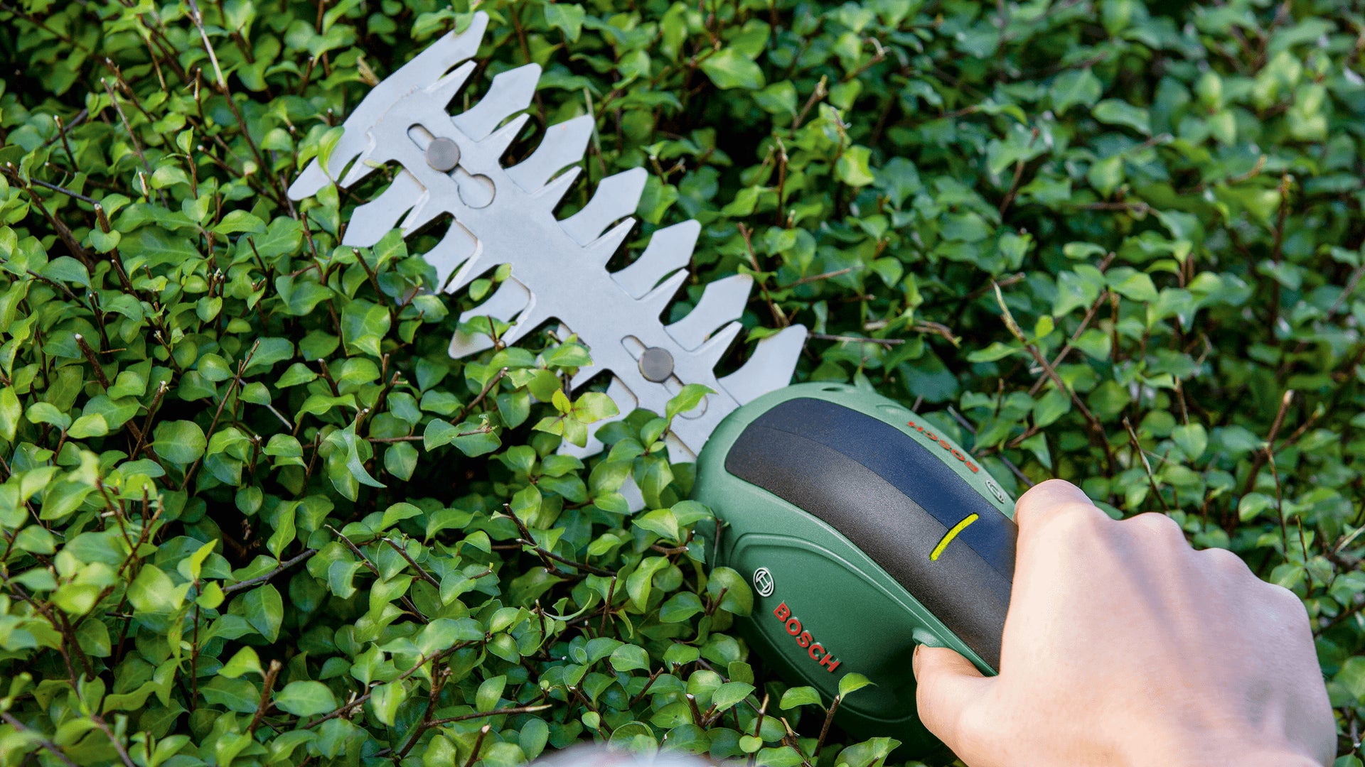 Bosch Bosch Easy Shear cisaille sans fil 8 cm 3,6 V Lithium-Ion (Li-Ion) Noir, Vert