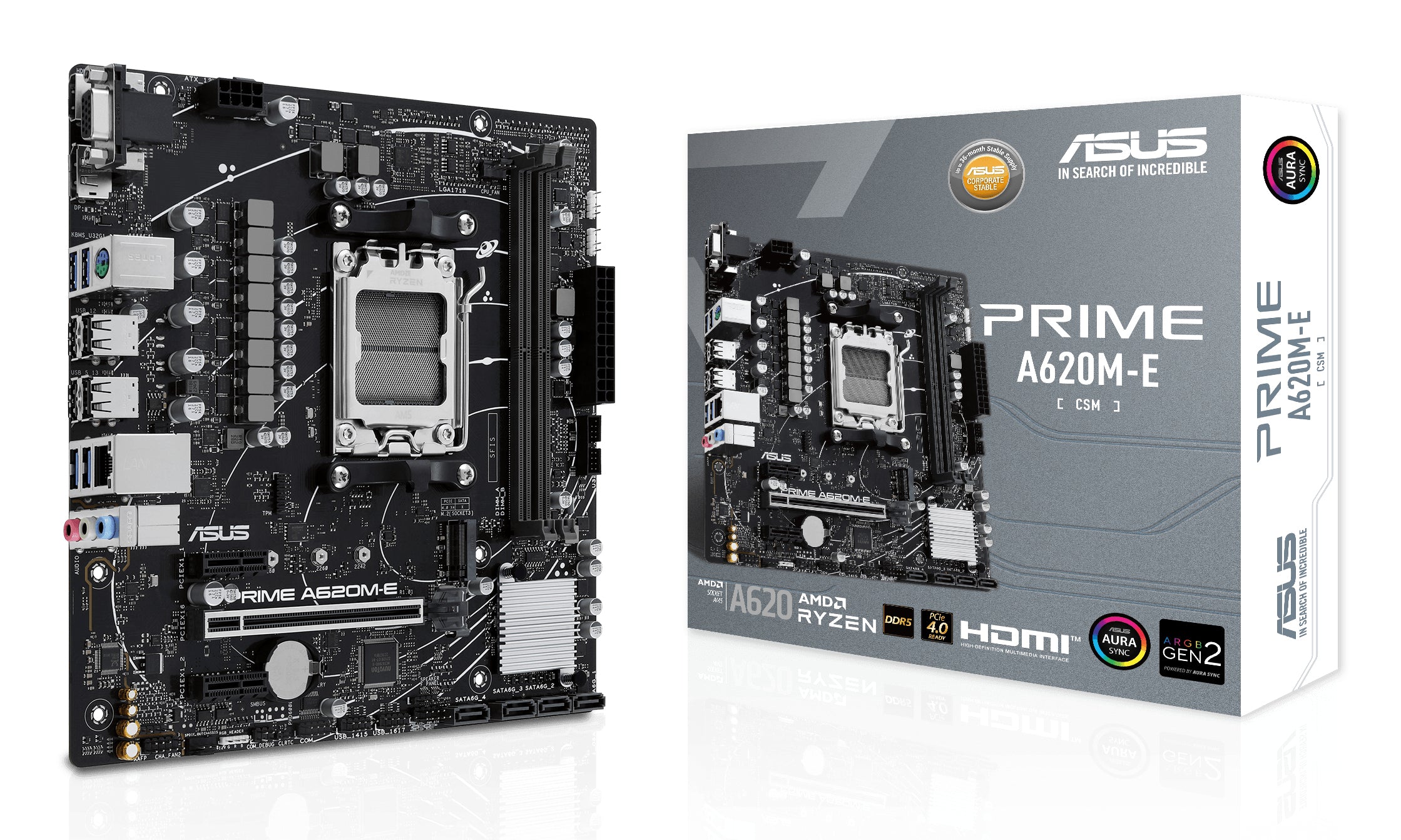 ASUS PRIME A620M-E-CSM AMD A620 Emplacement AM5 micro ATX