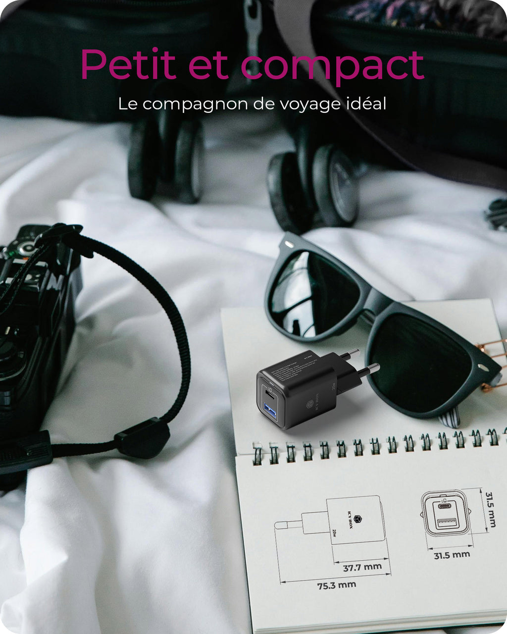 ICY BOX IB-PS1020-PD Universel Noir Secteur Charge rapide Intérieure