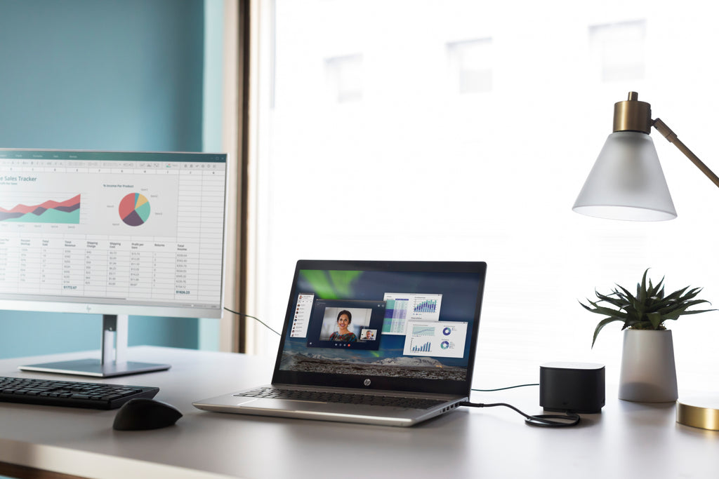 HP Souris USB avec lecture des empreintes digitales